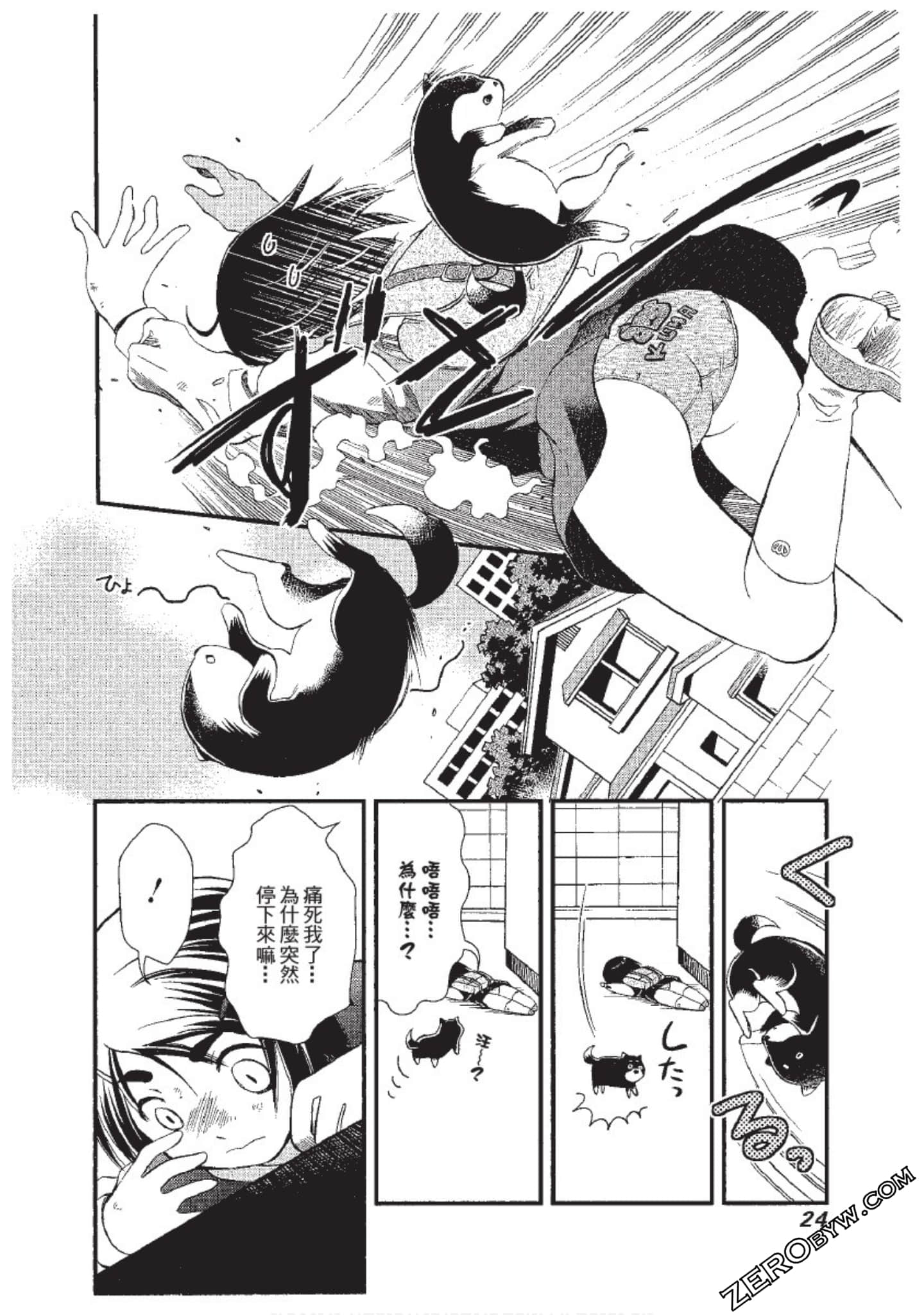 Page 25