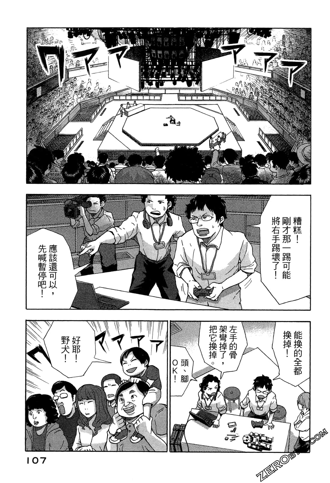 第 110 页