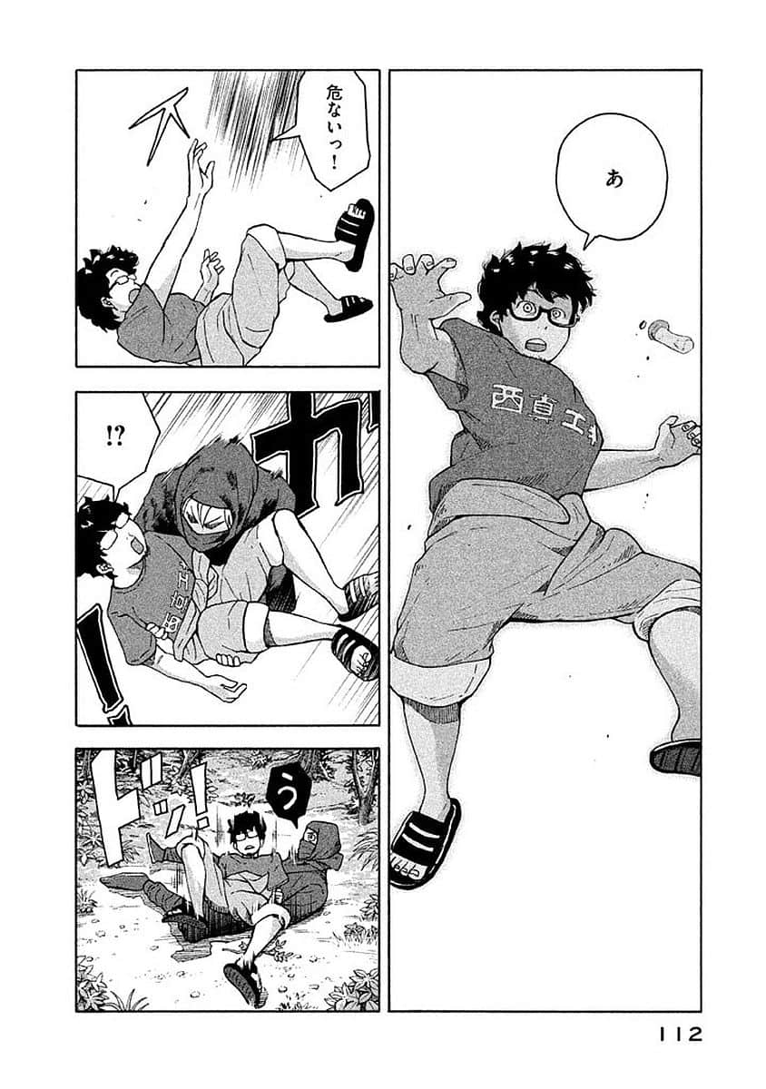 Page 113