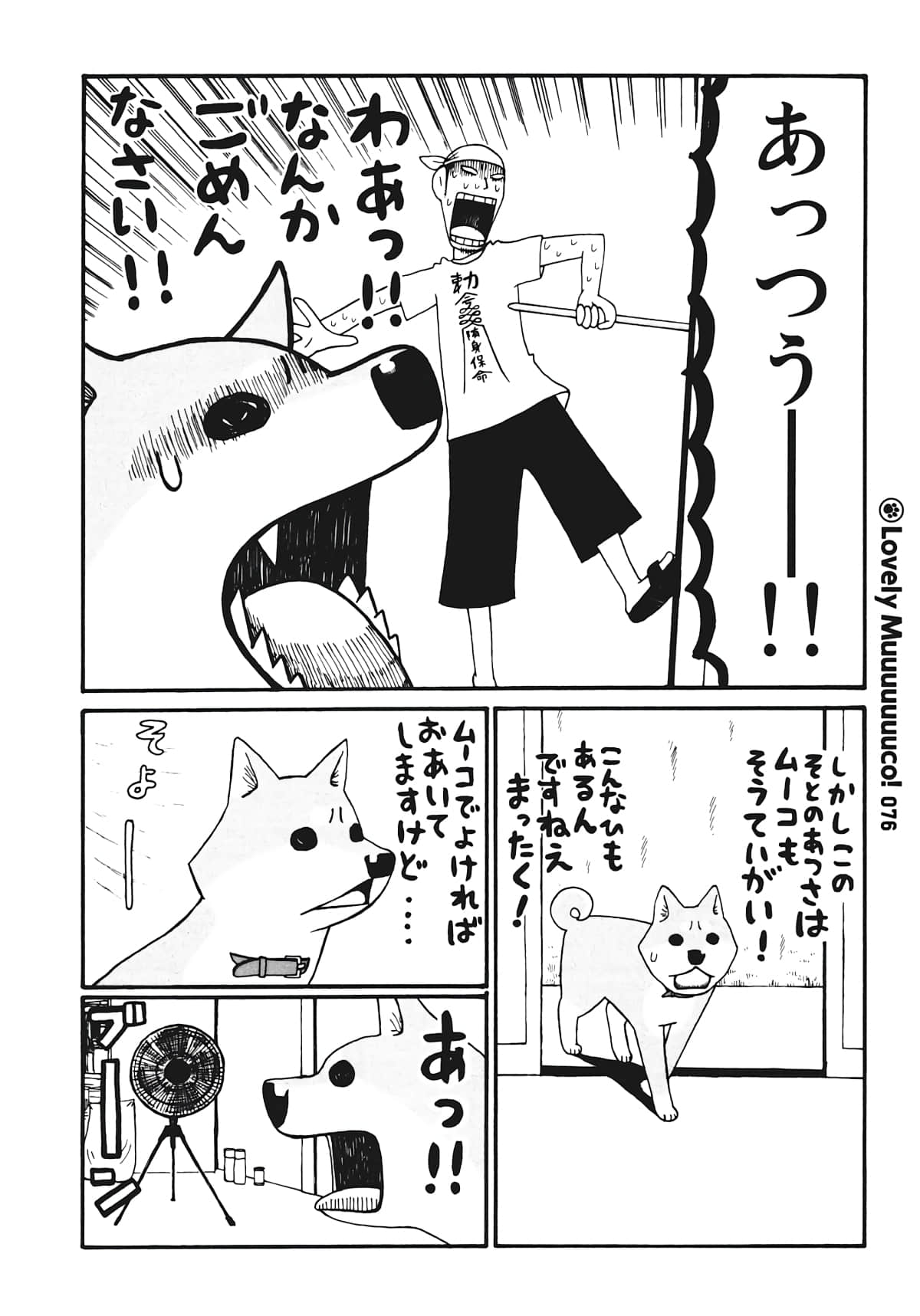 Page 47