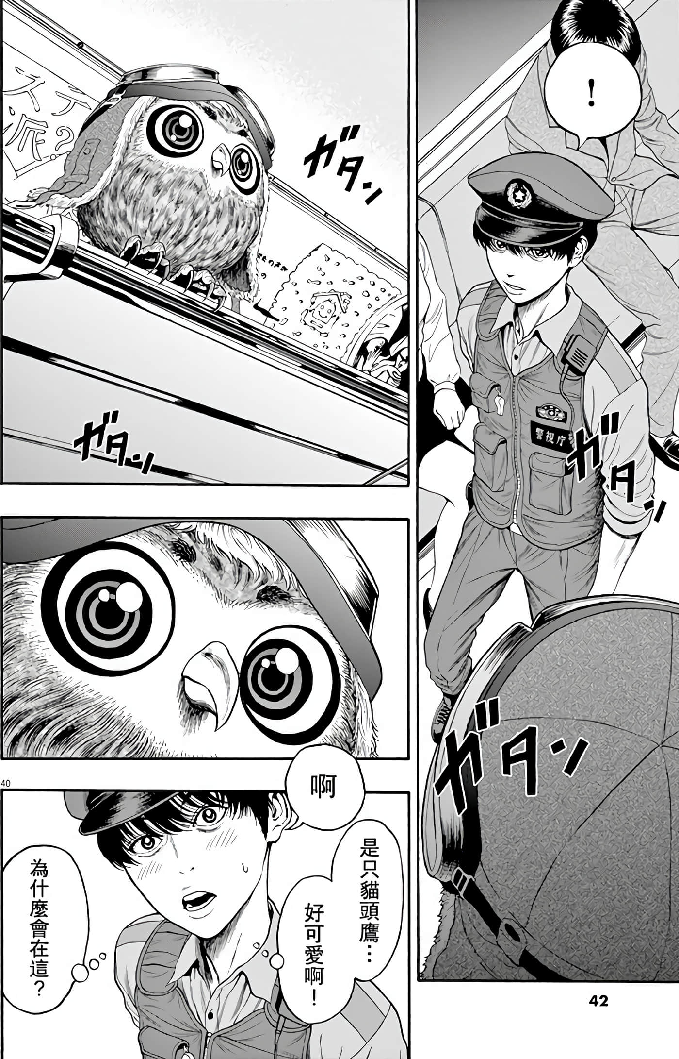 Page 43