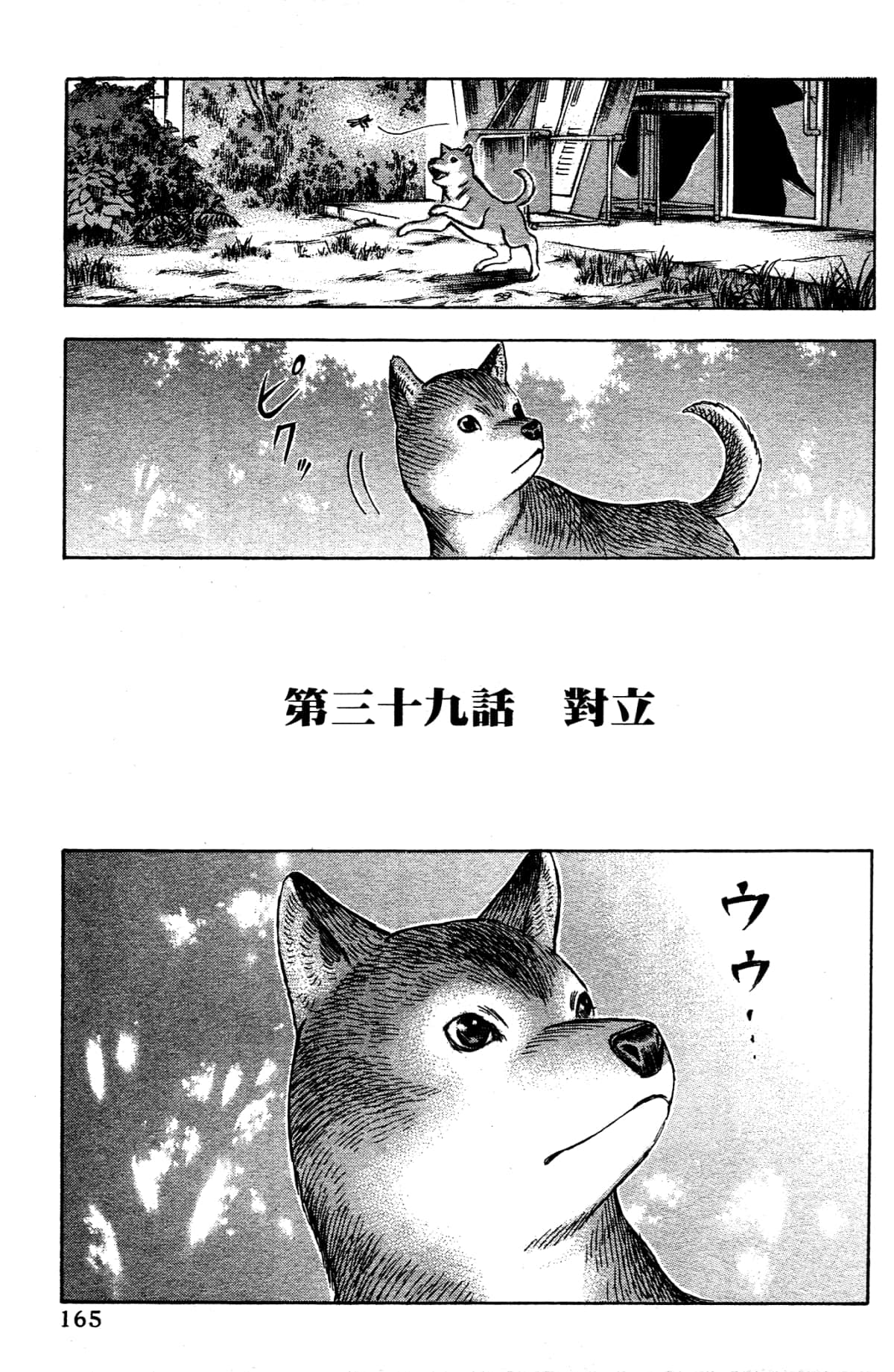 Page 167