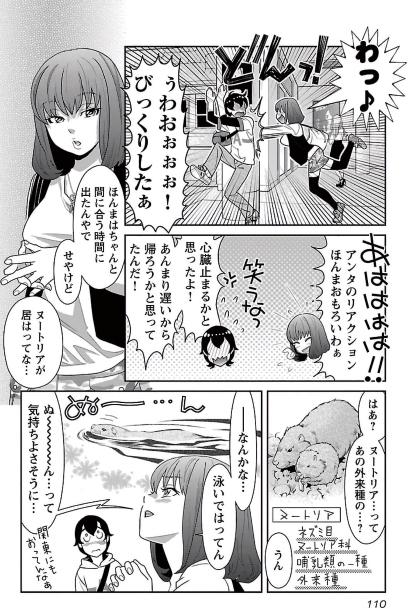 Page 111