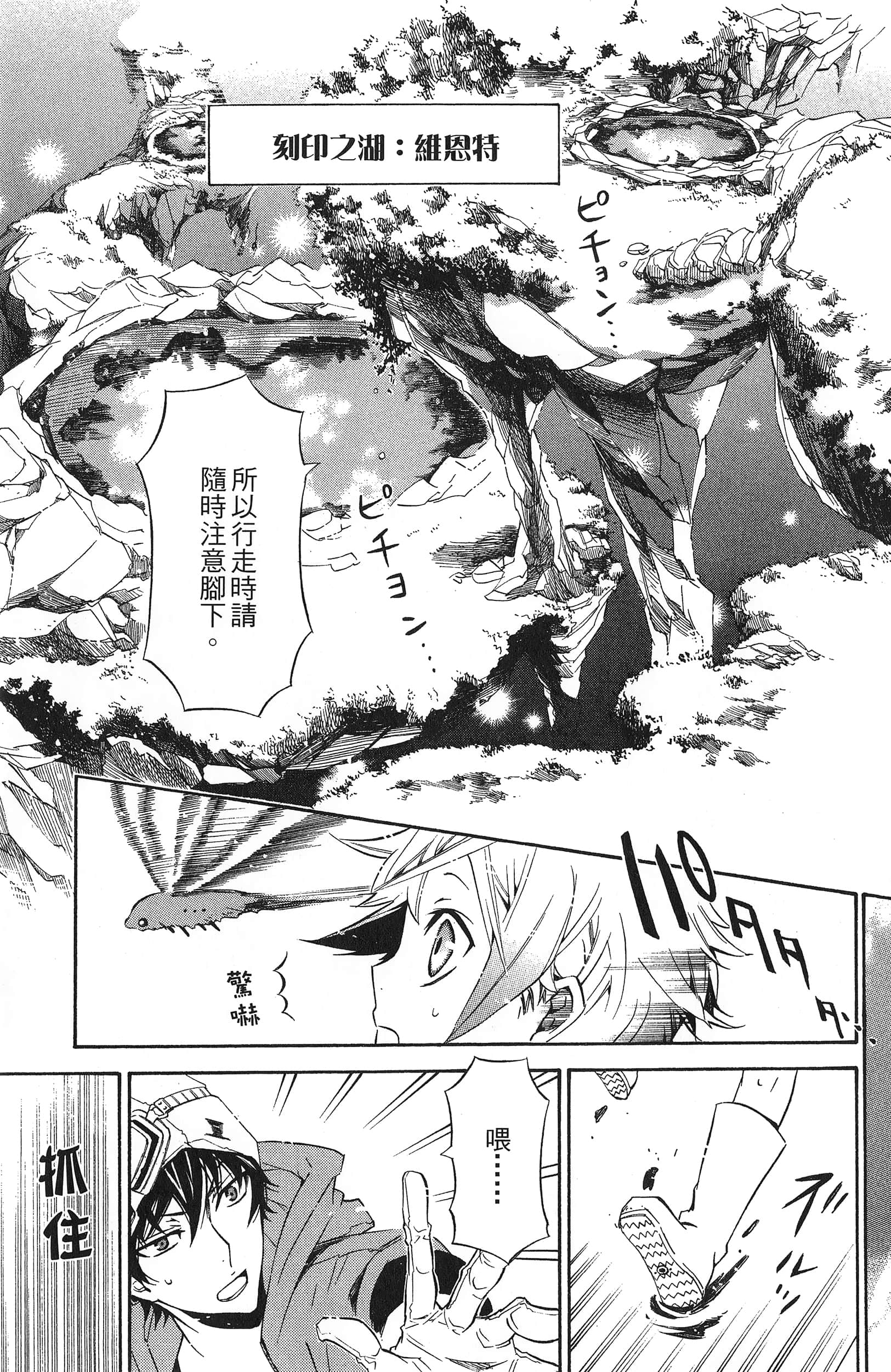 Page 110
