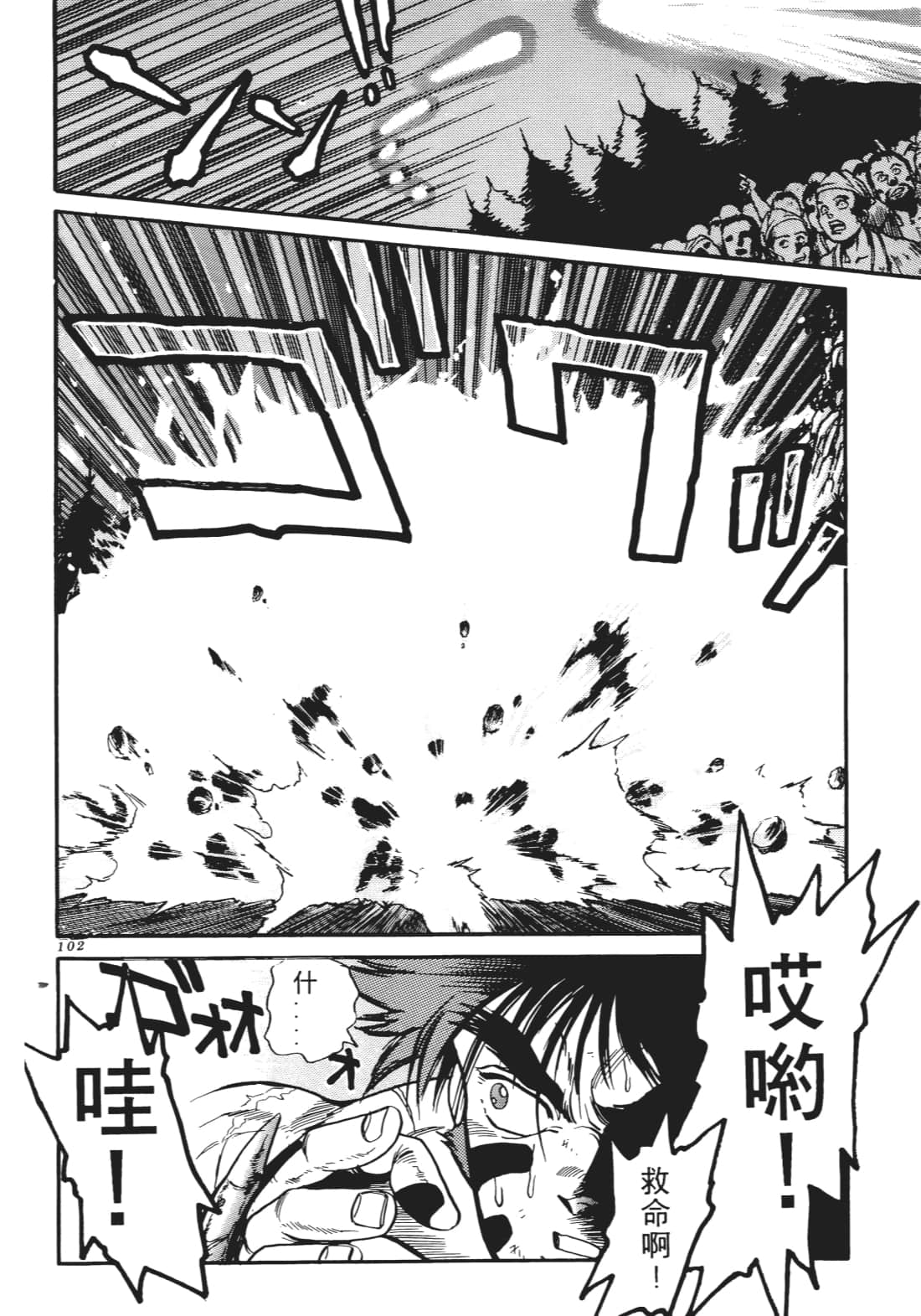 Page 101