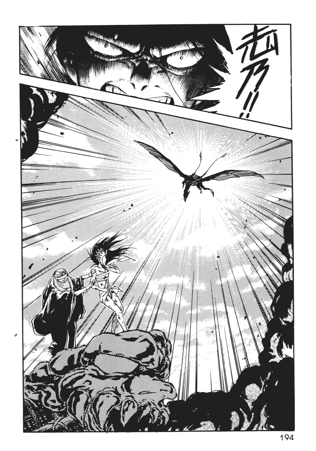 Page 193