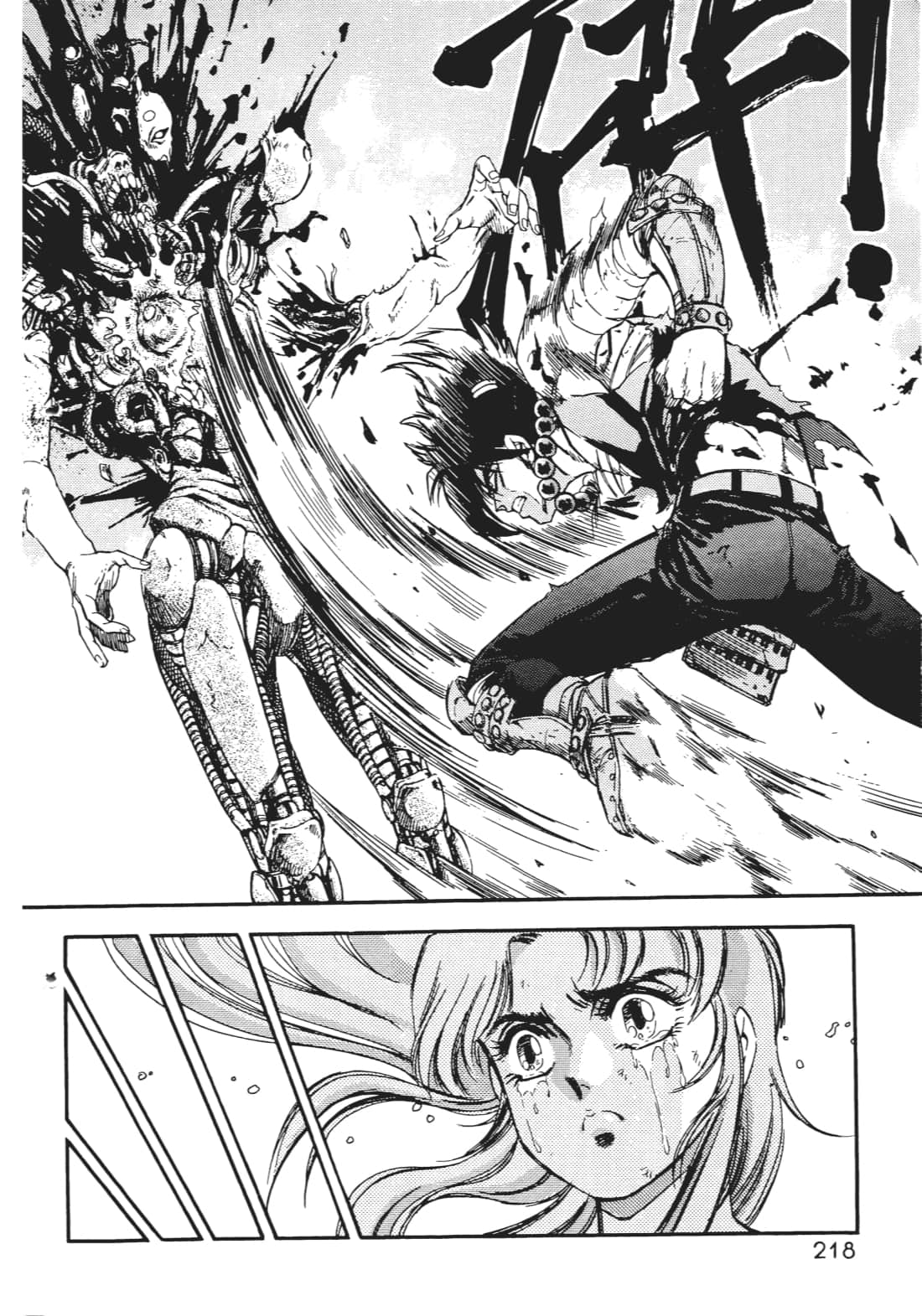 Page 217