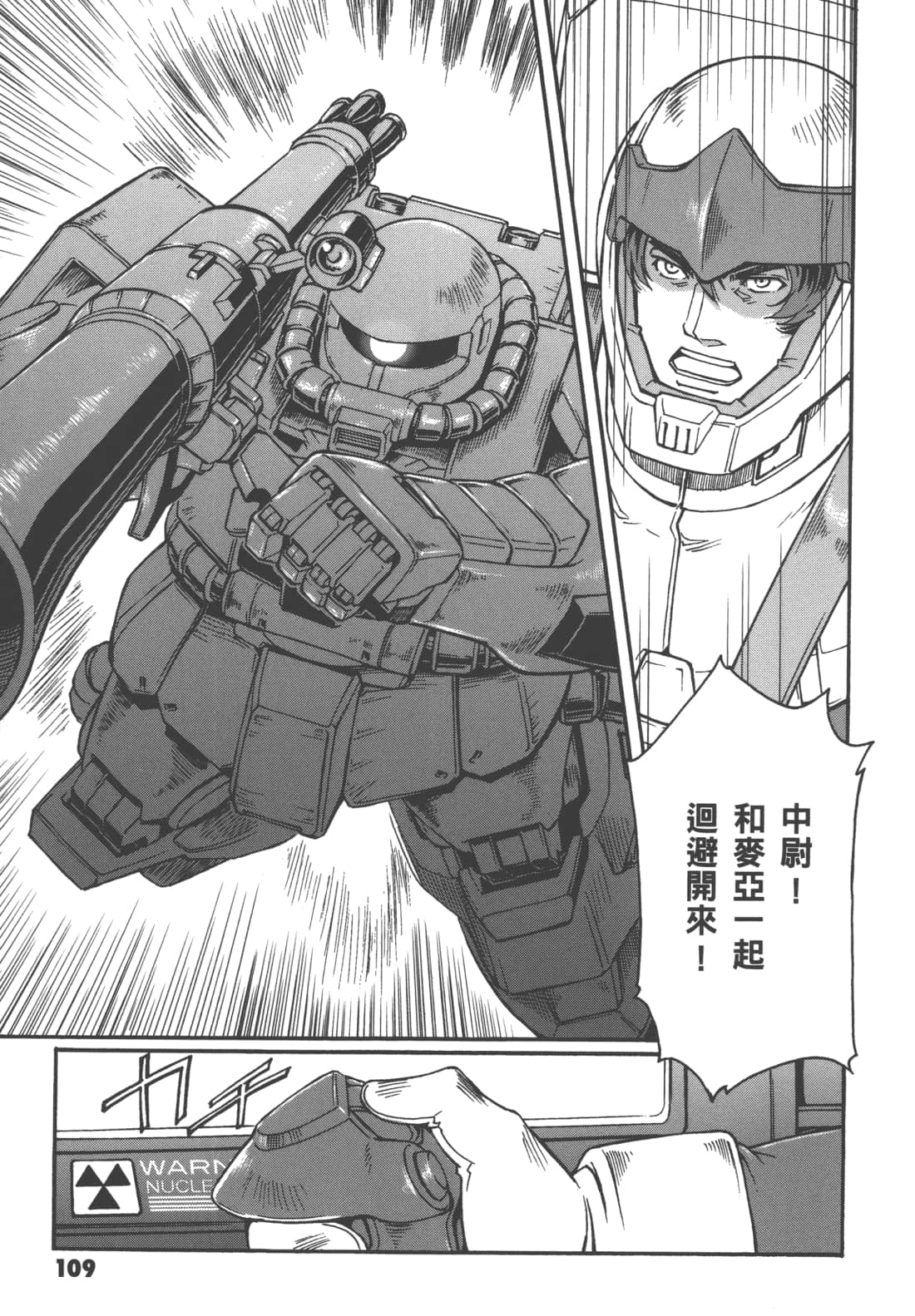 Page 113