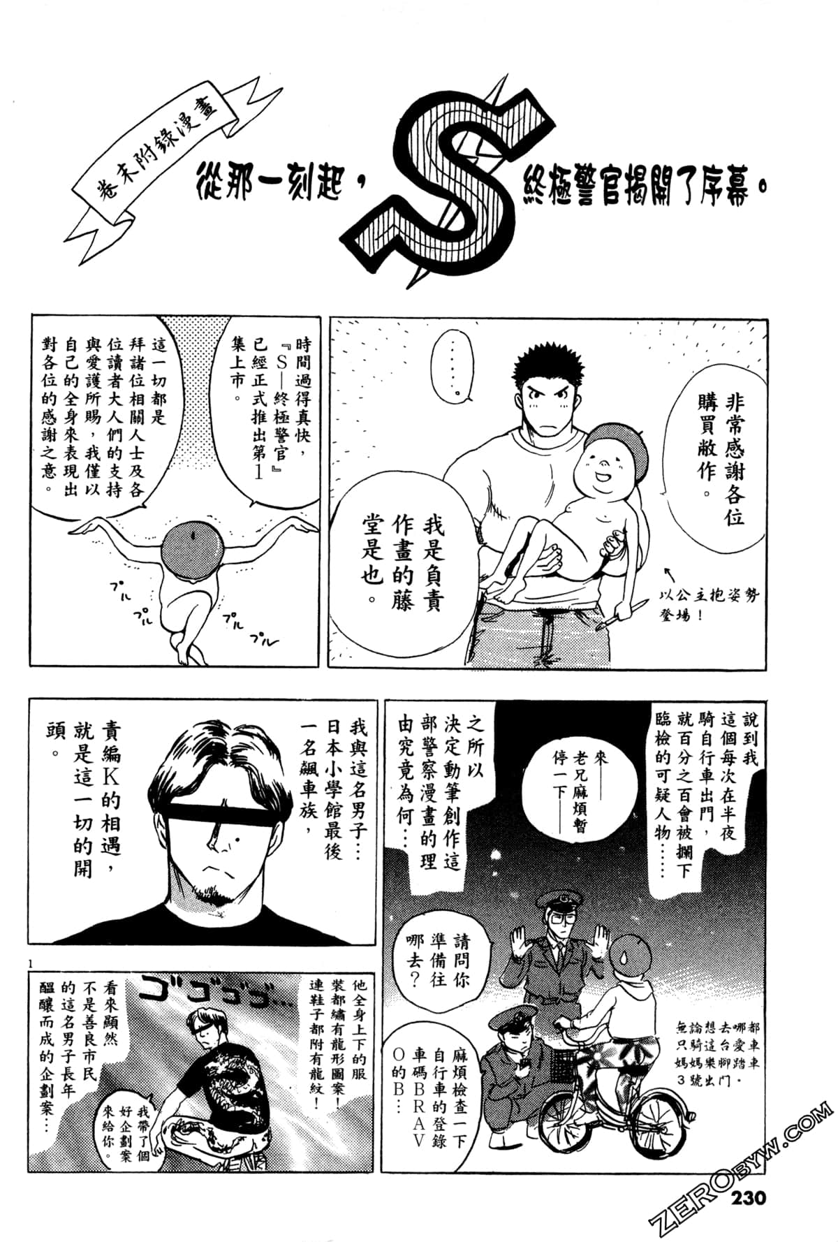 Page 231