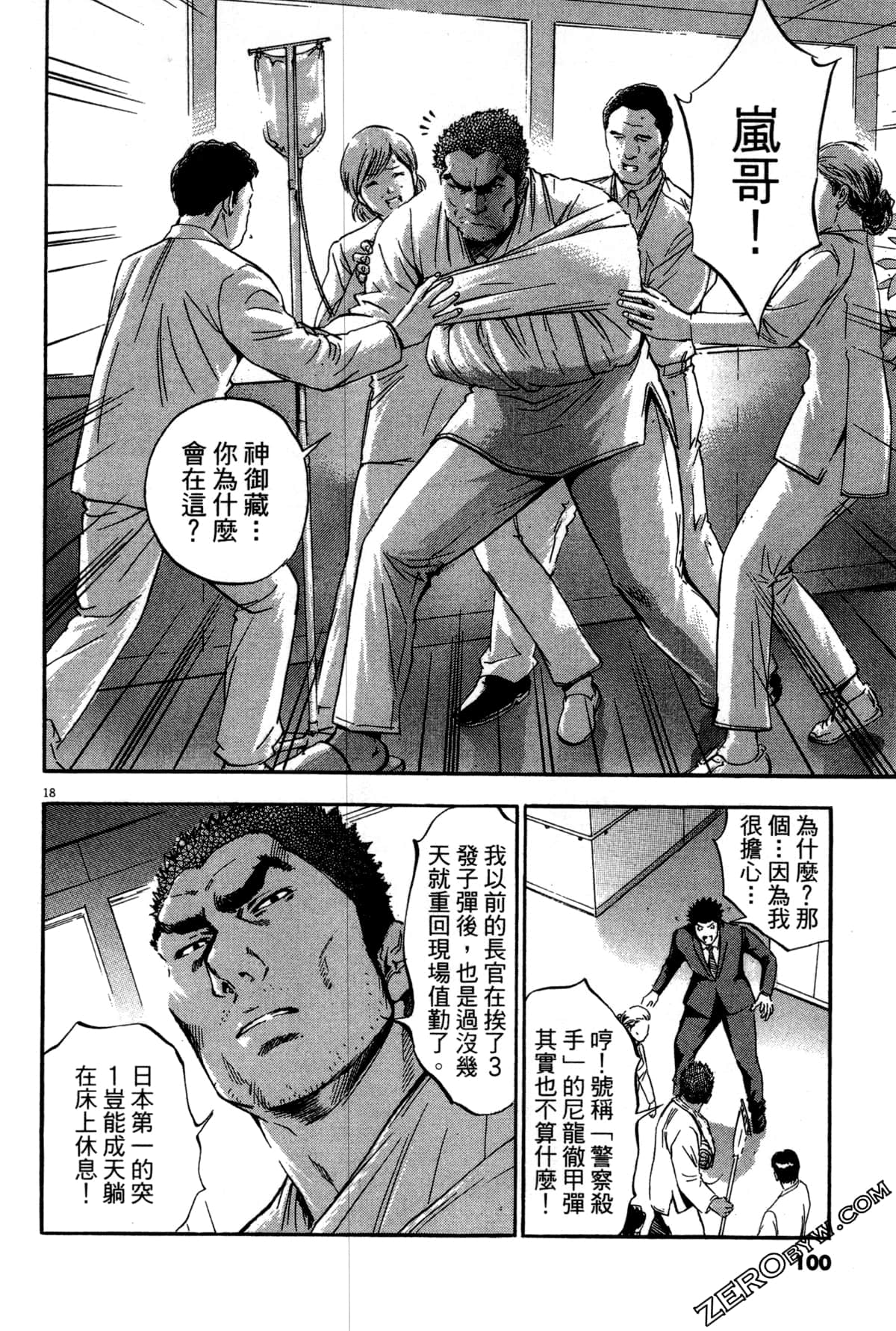 Page 101