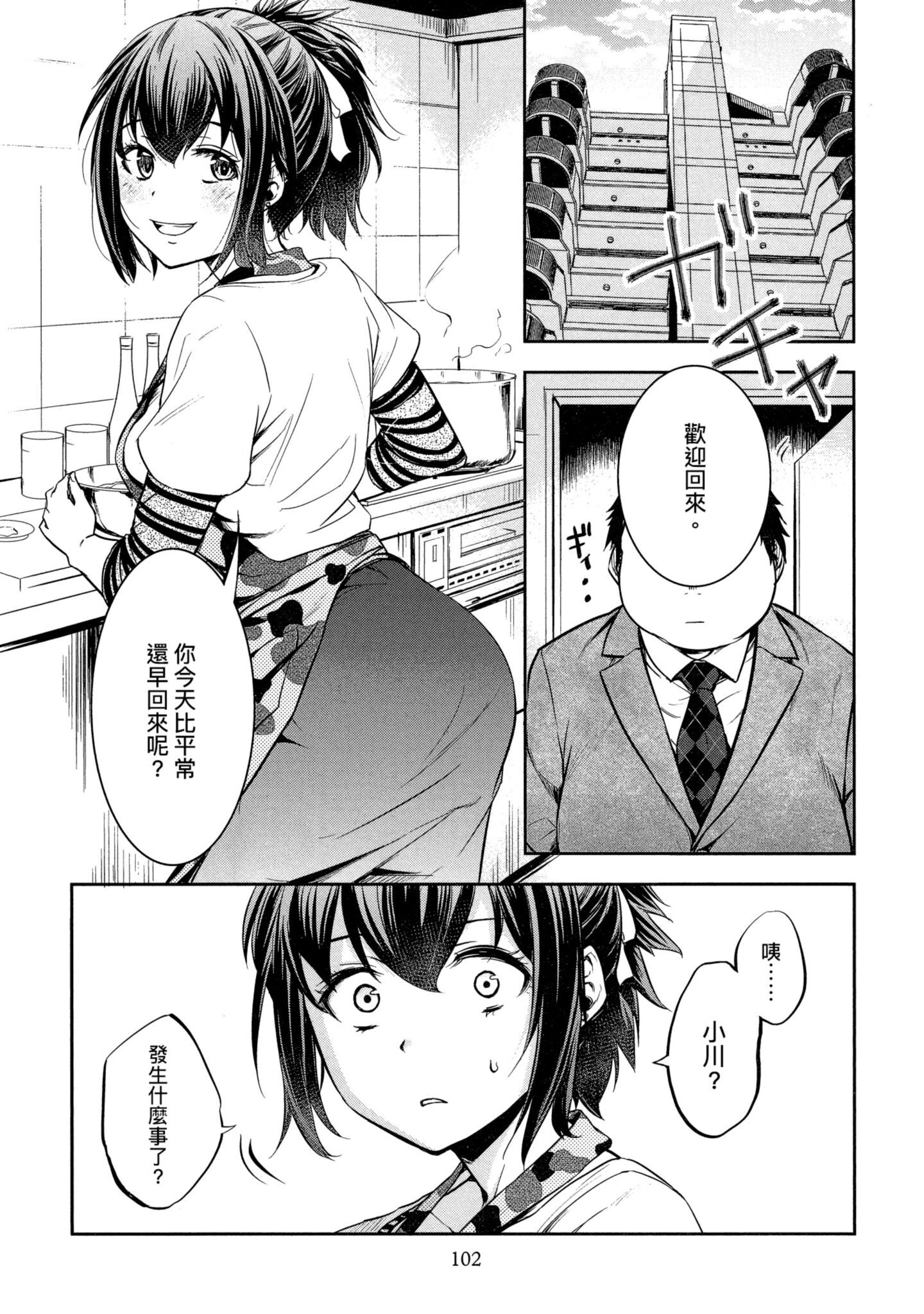 Page 102