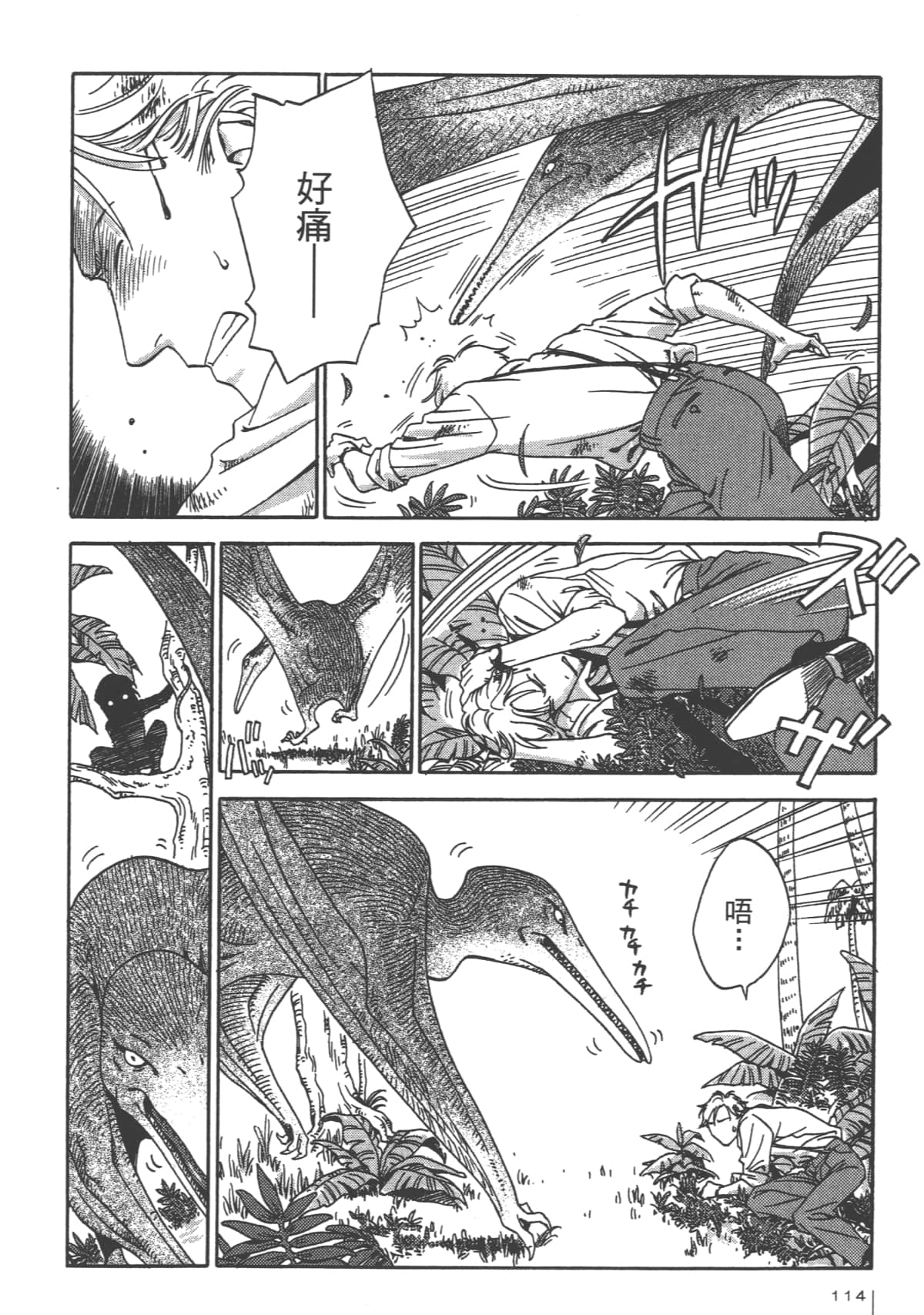 Page 116