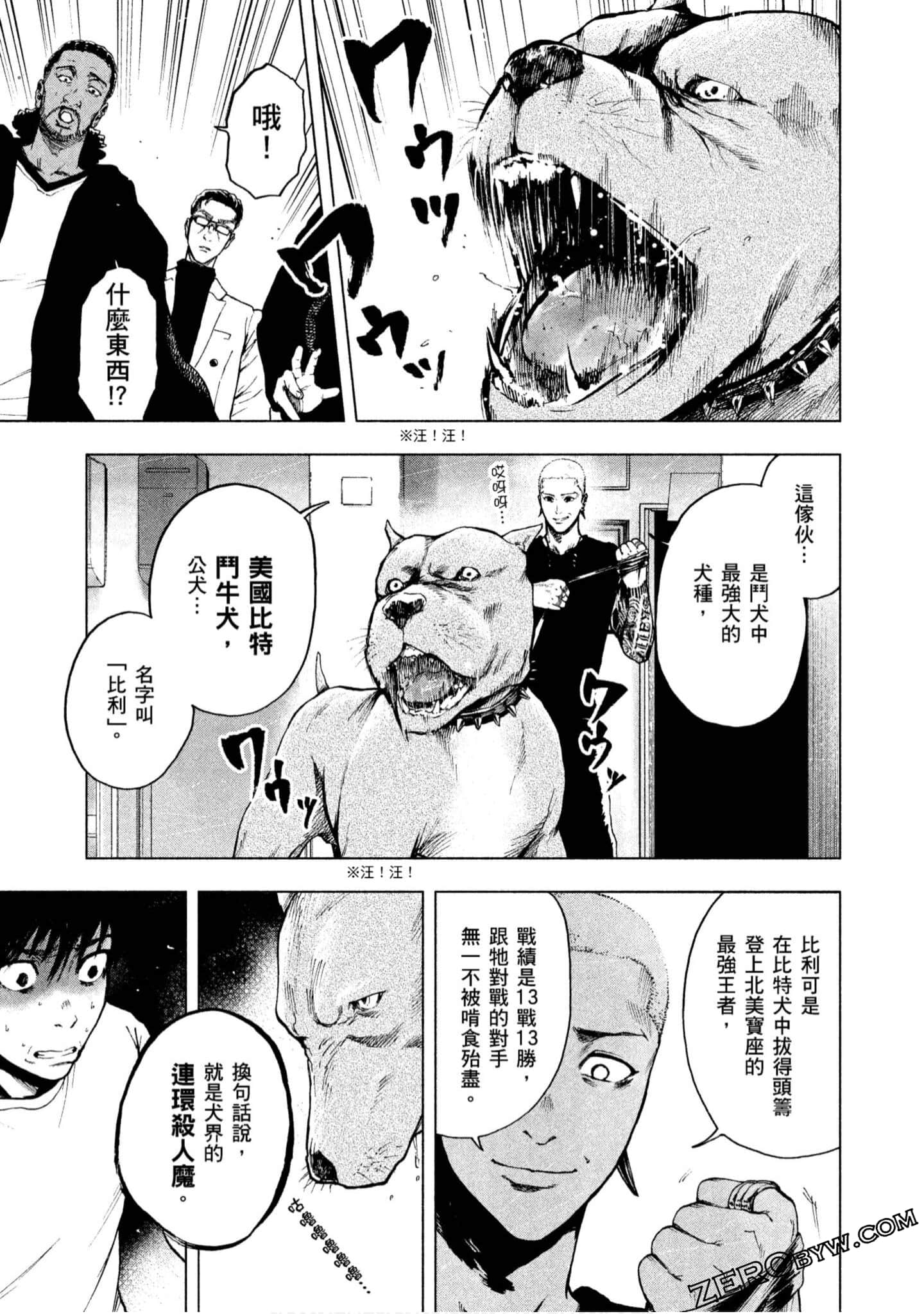 Page 213