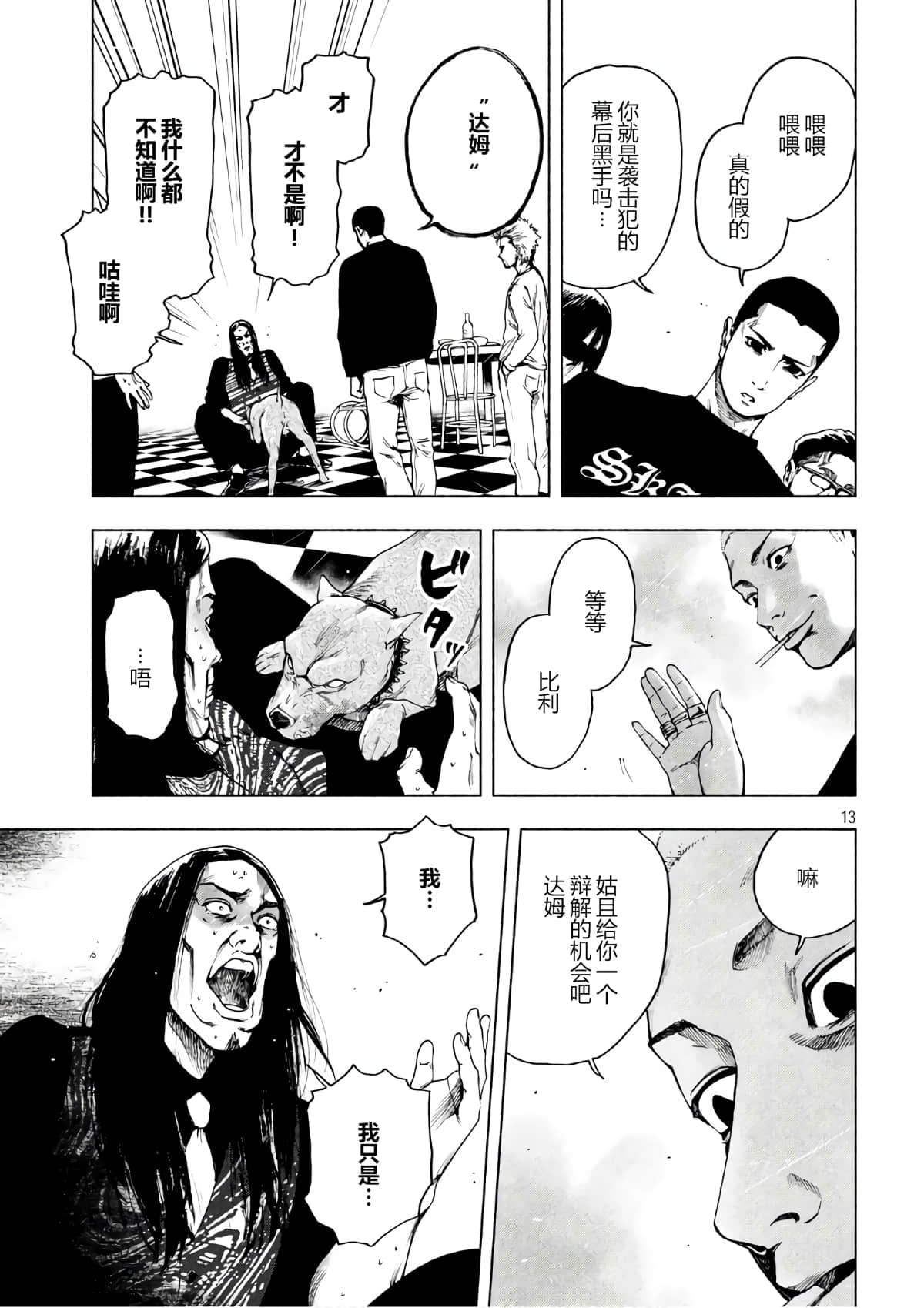Page 13