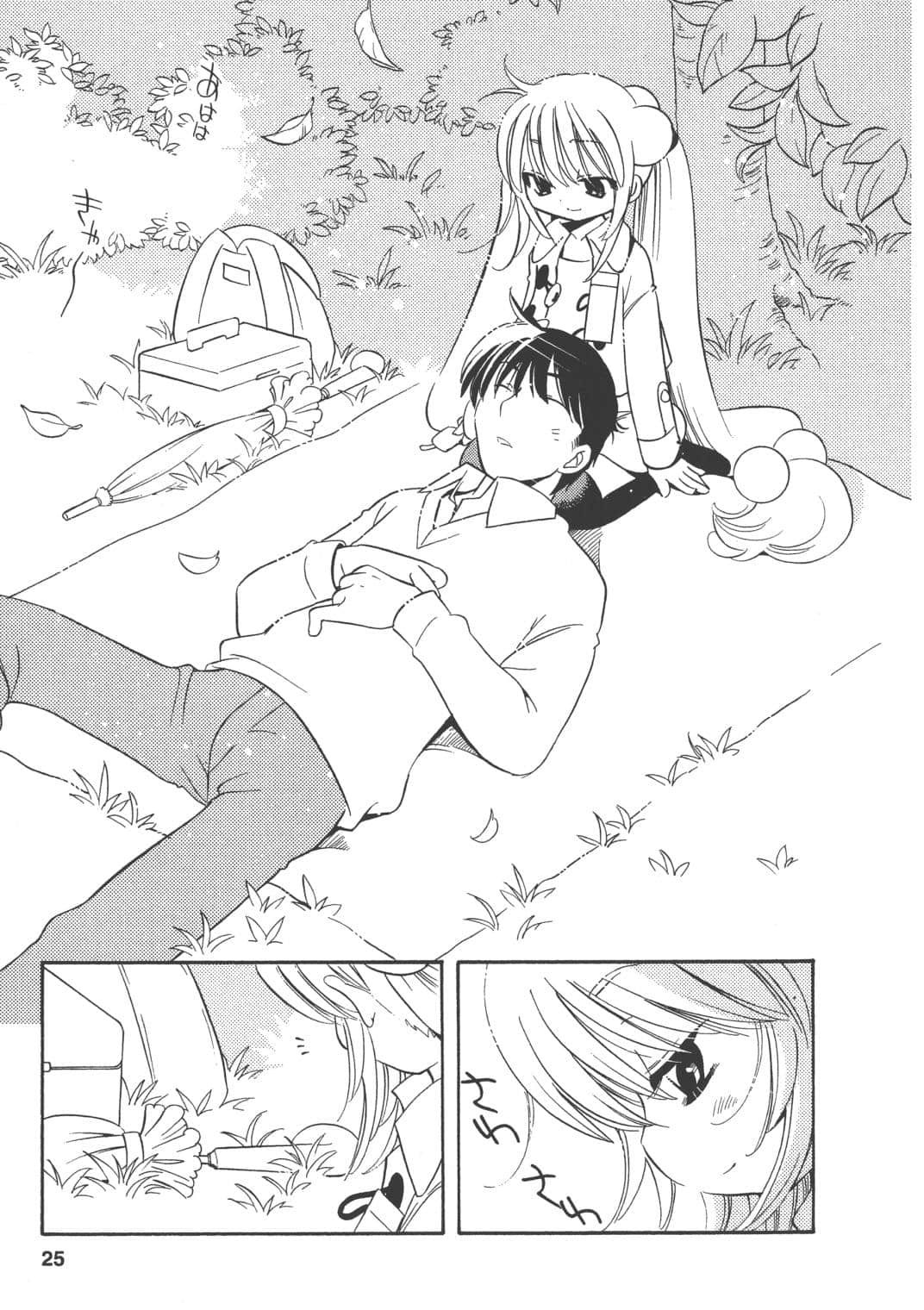 Page 25