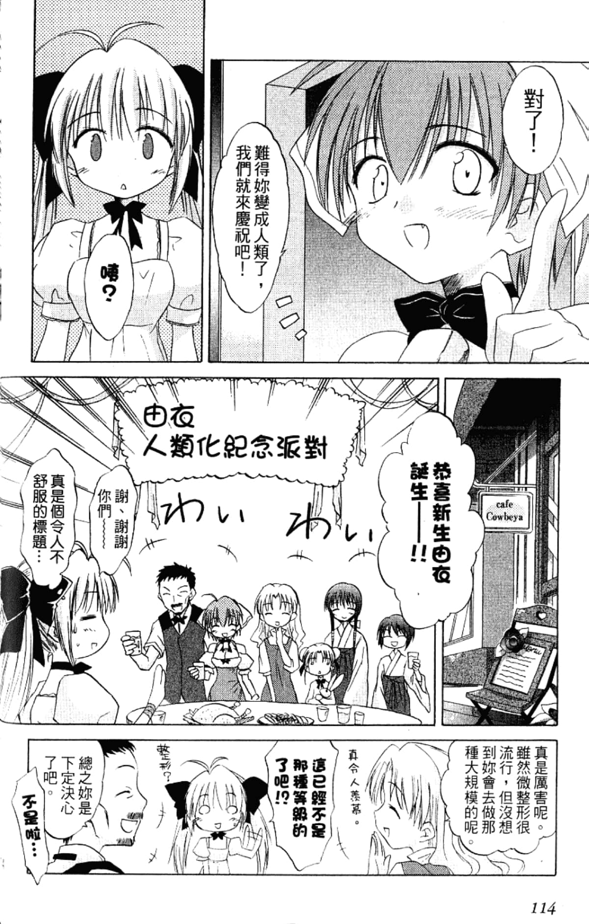 Page 116
