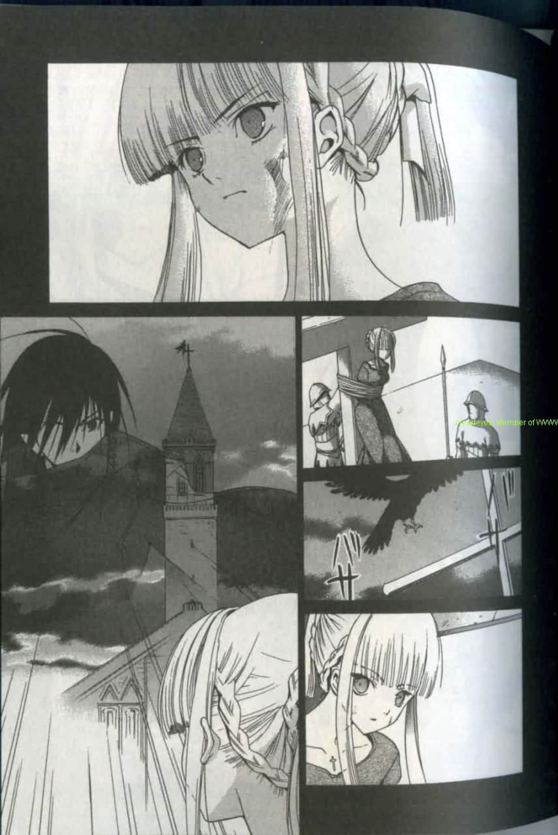 Page 101