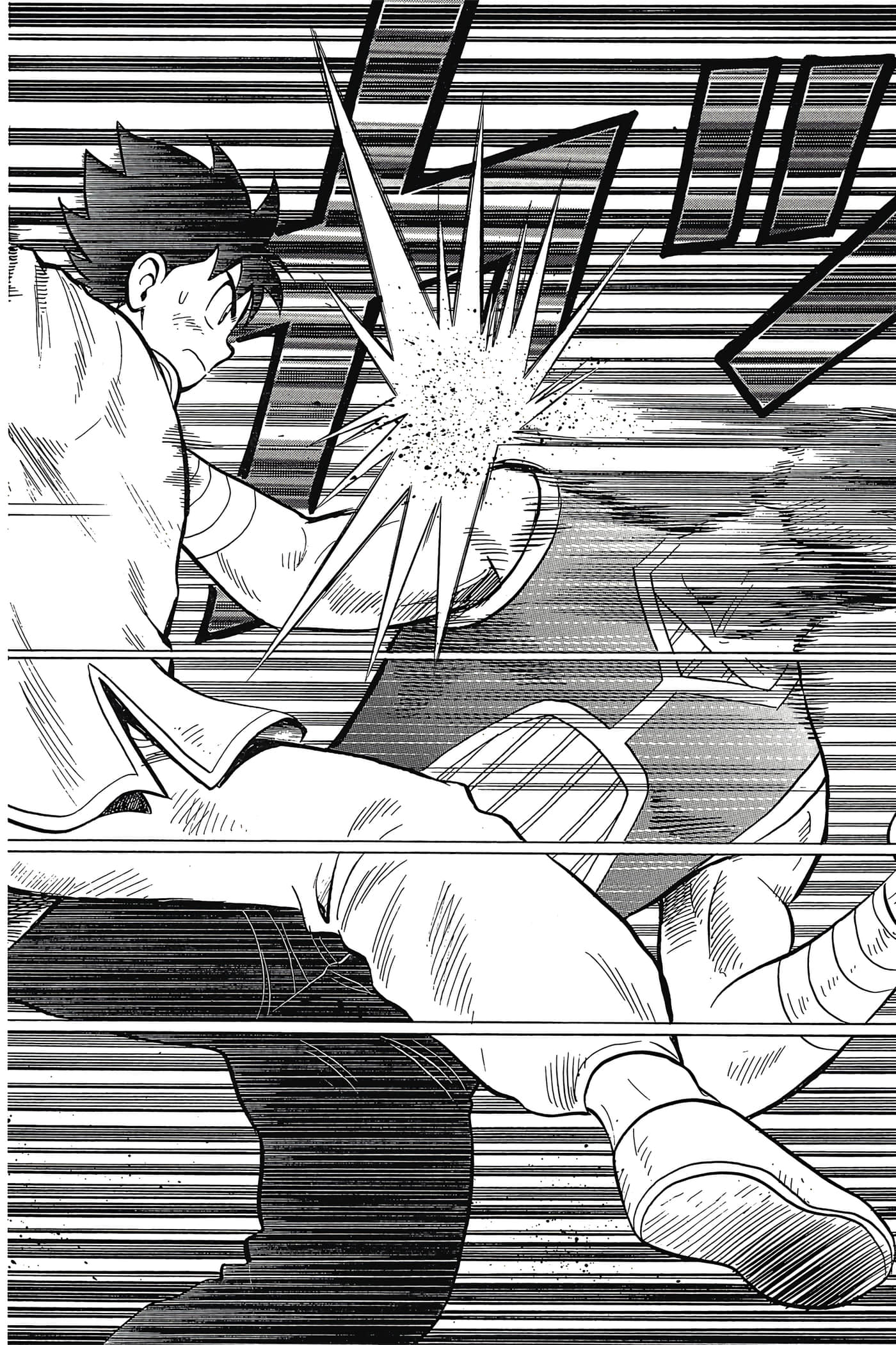 第 61 页