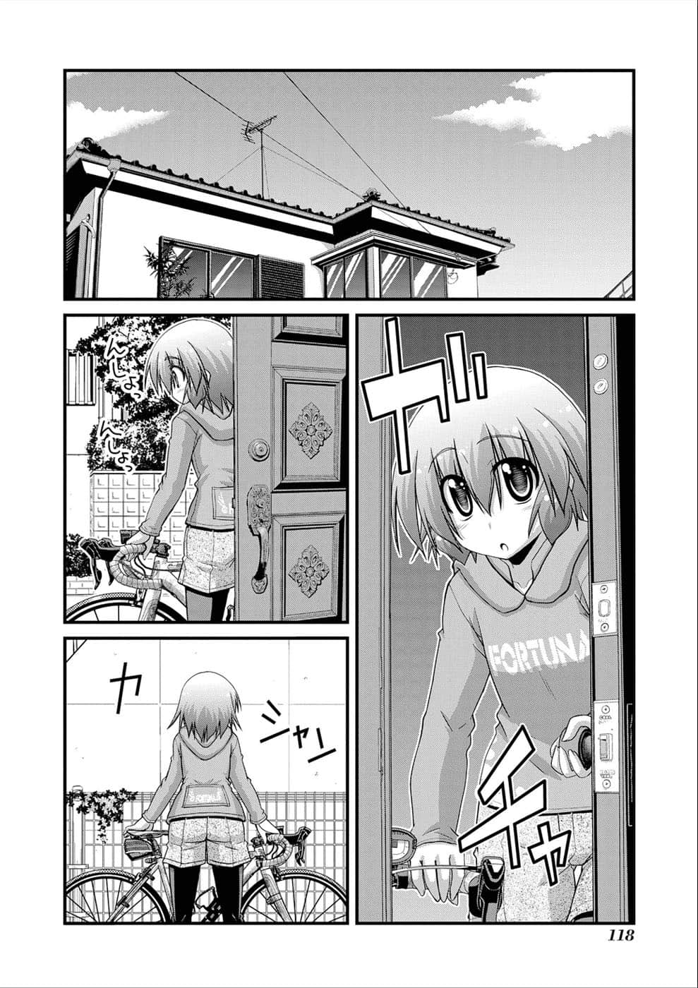 Page 113