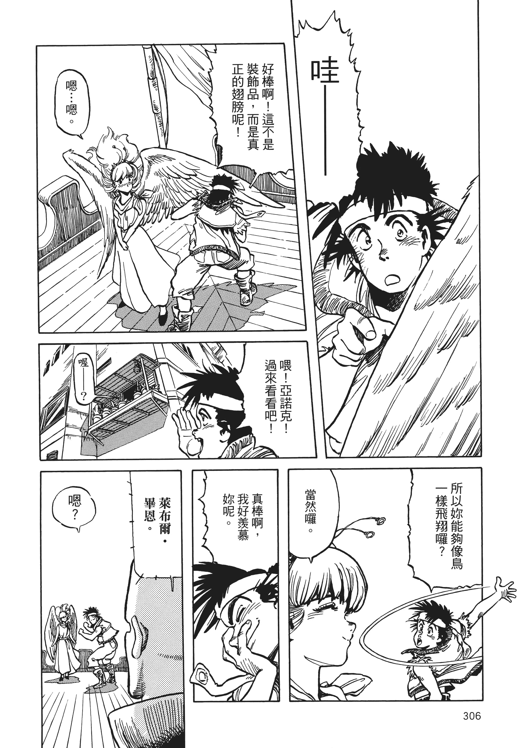 Page 307