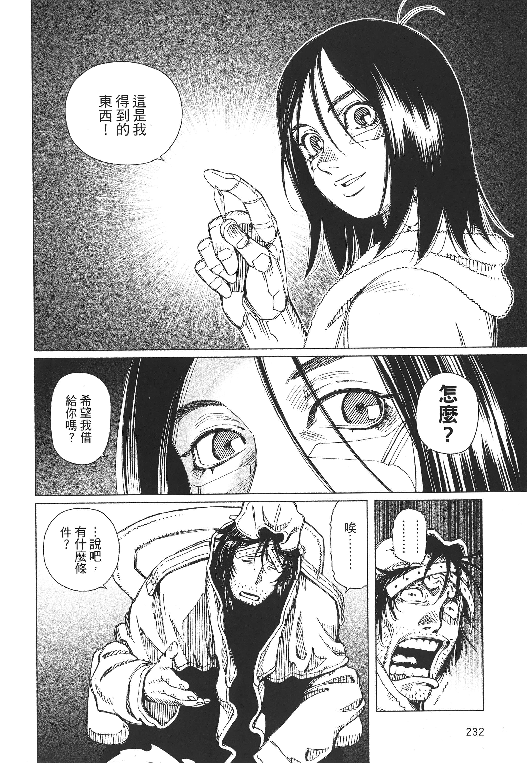 Page 233
