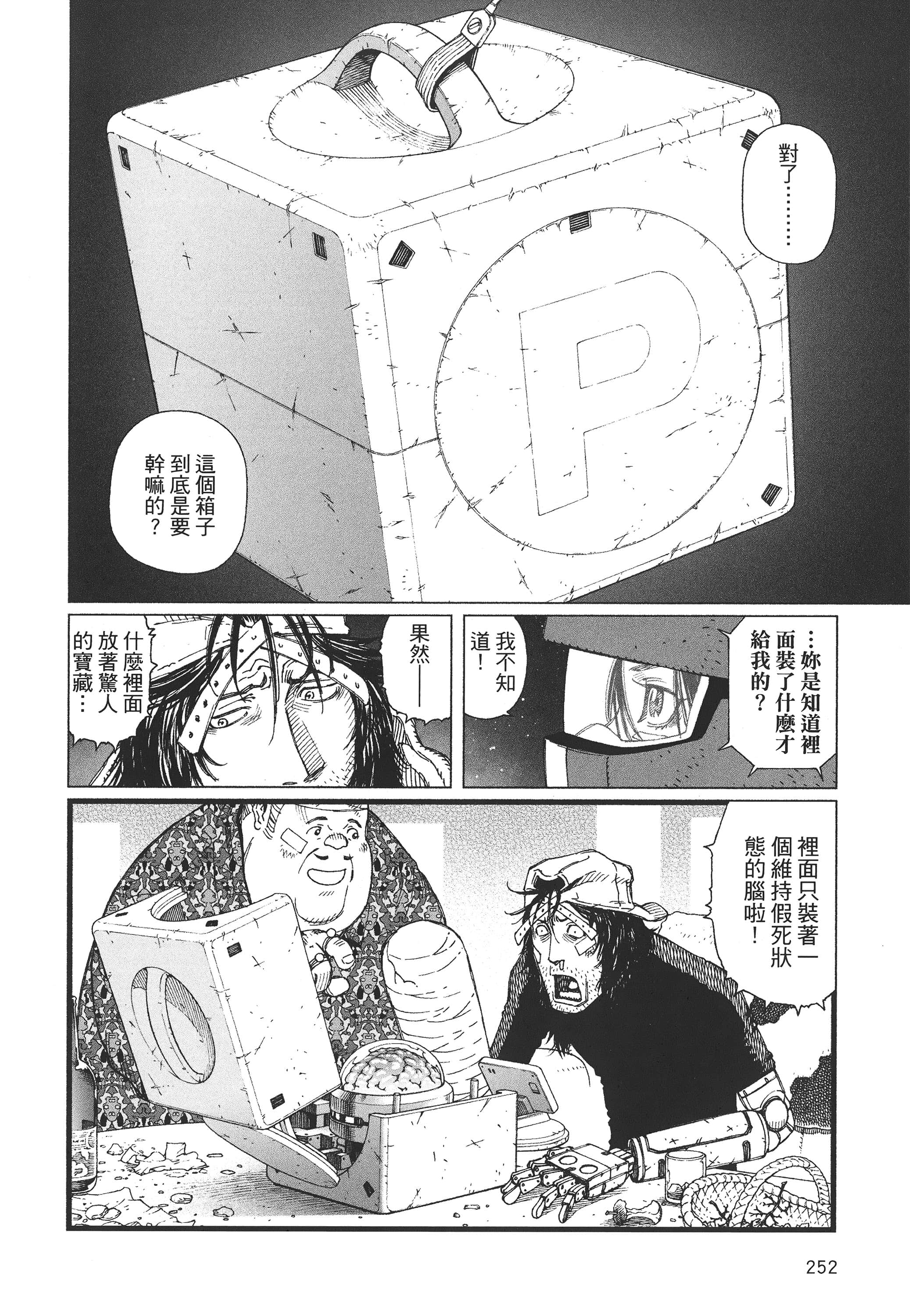 Page 253