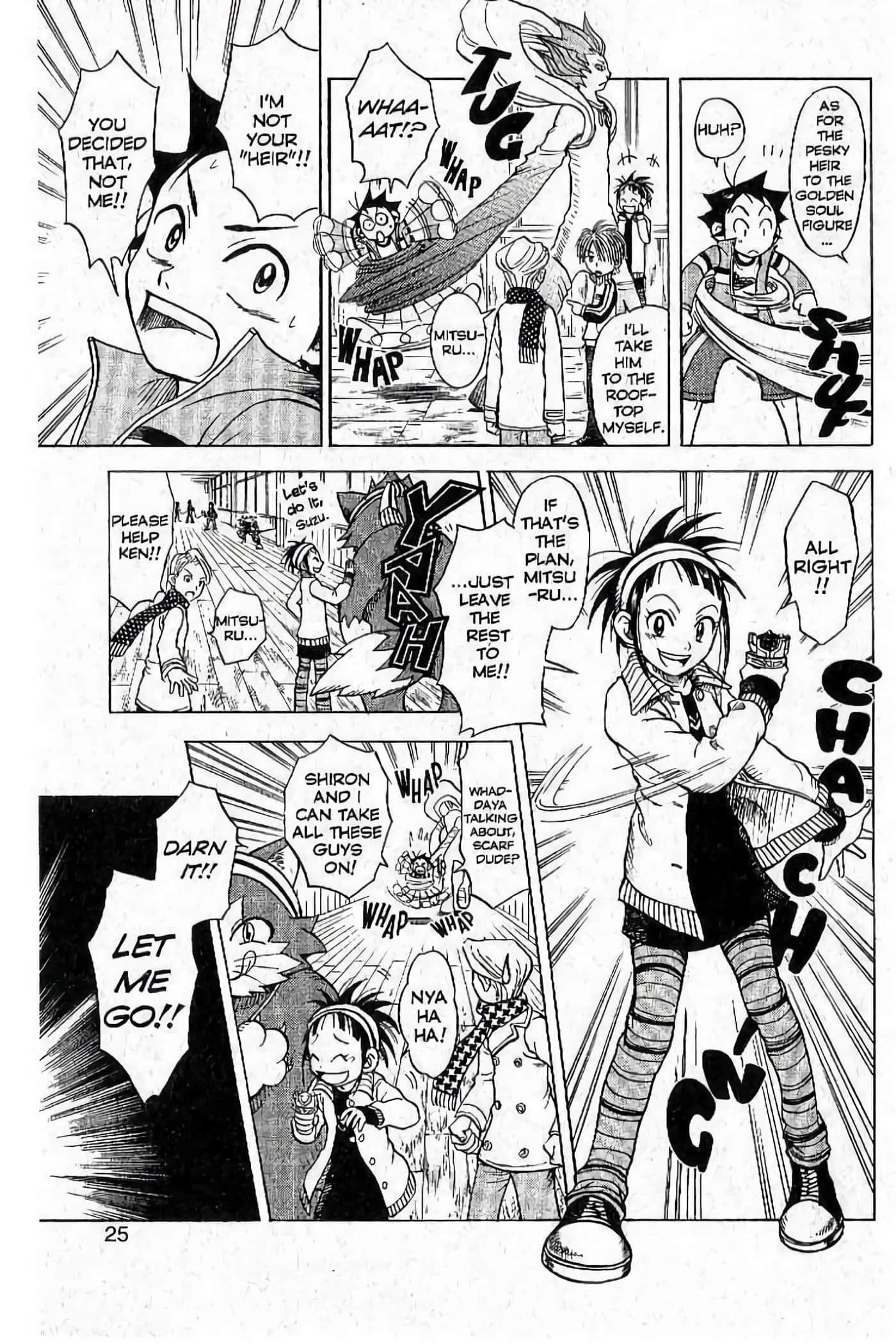 Page 25