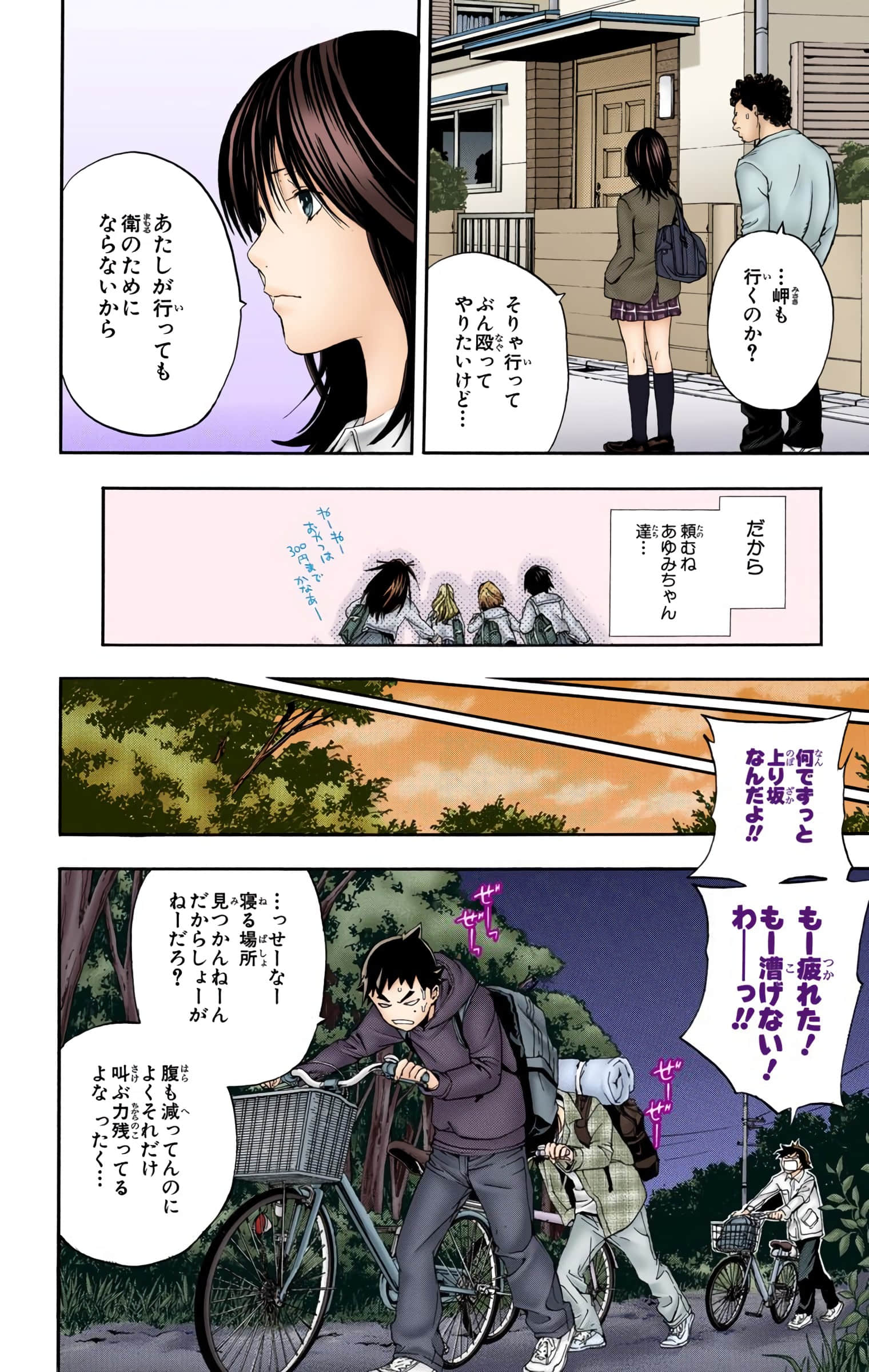 Page 41