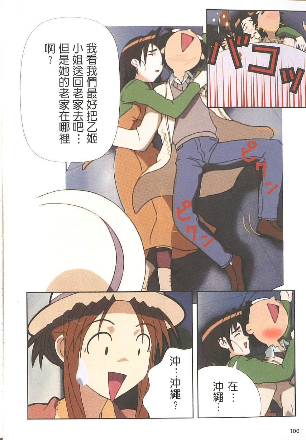 Page 101