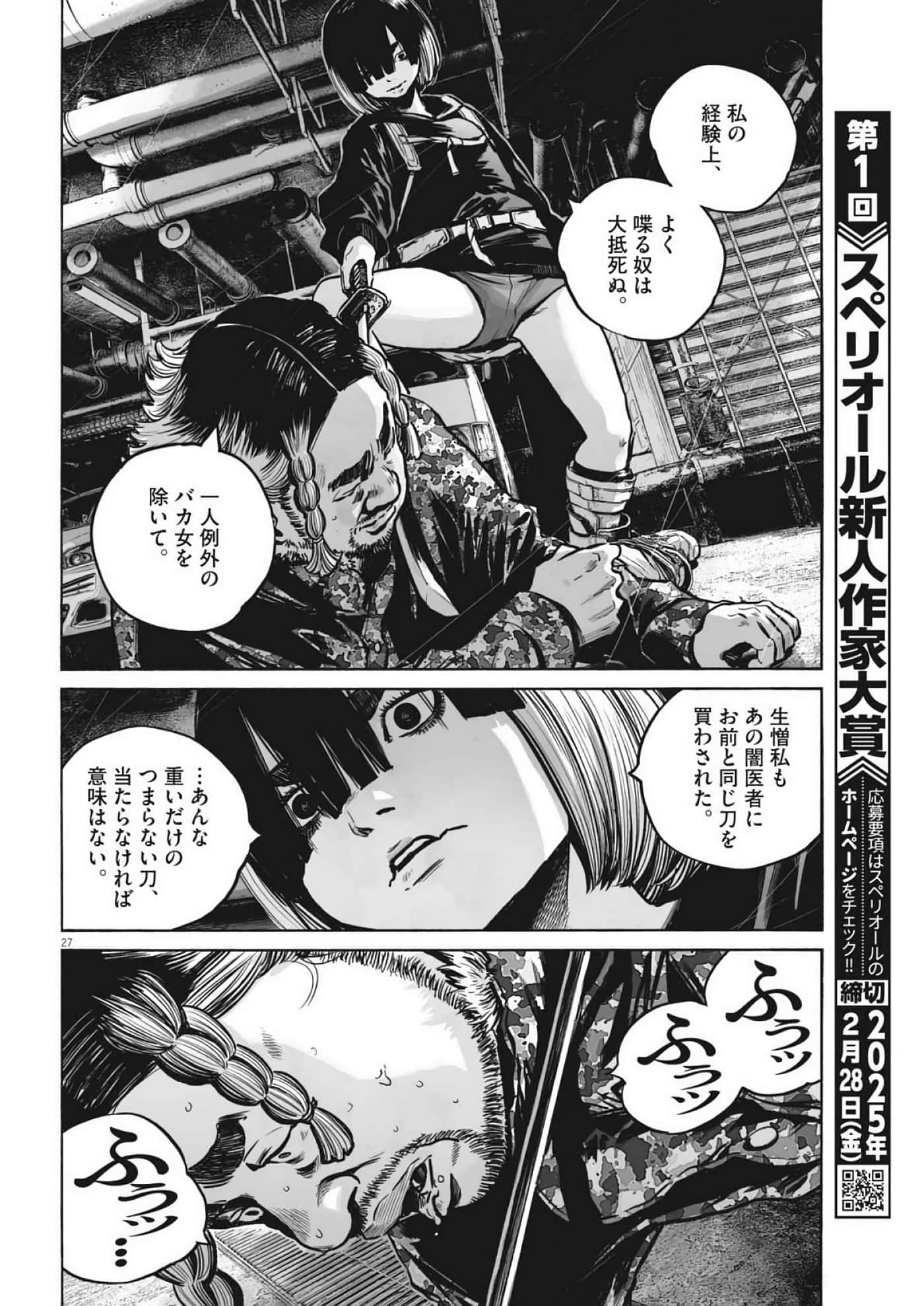 Page 27