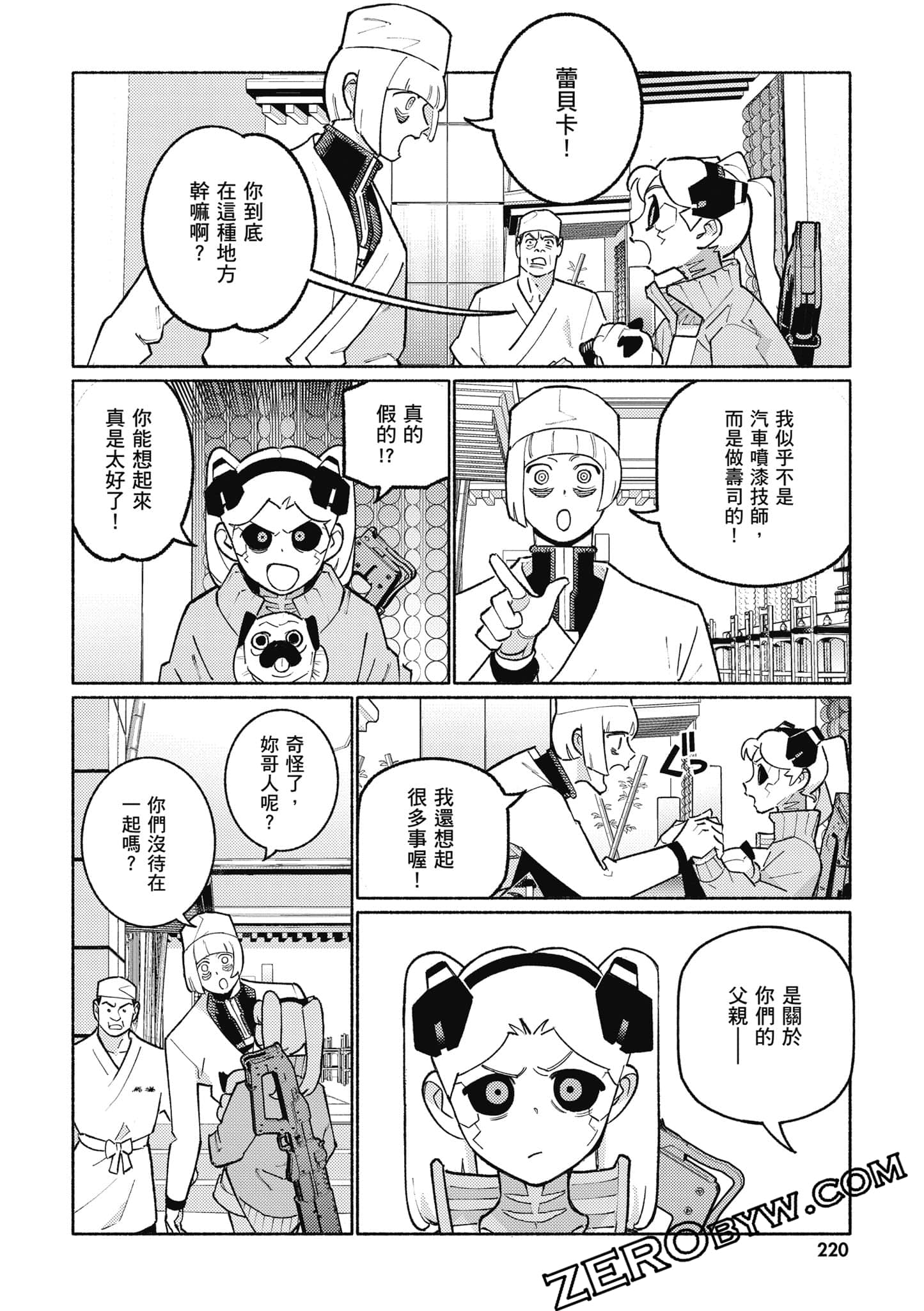 Page 221