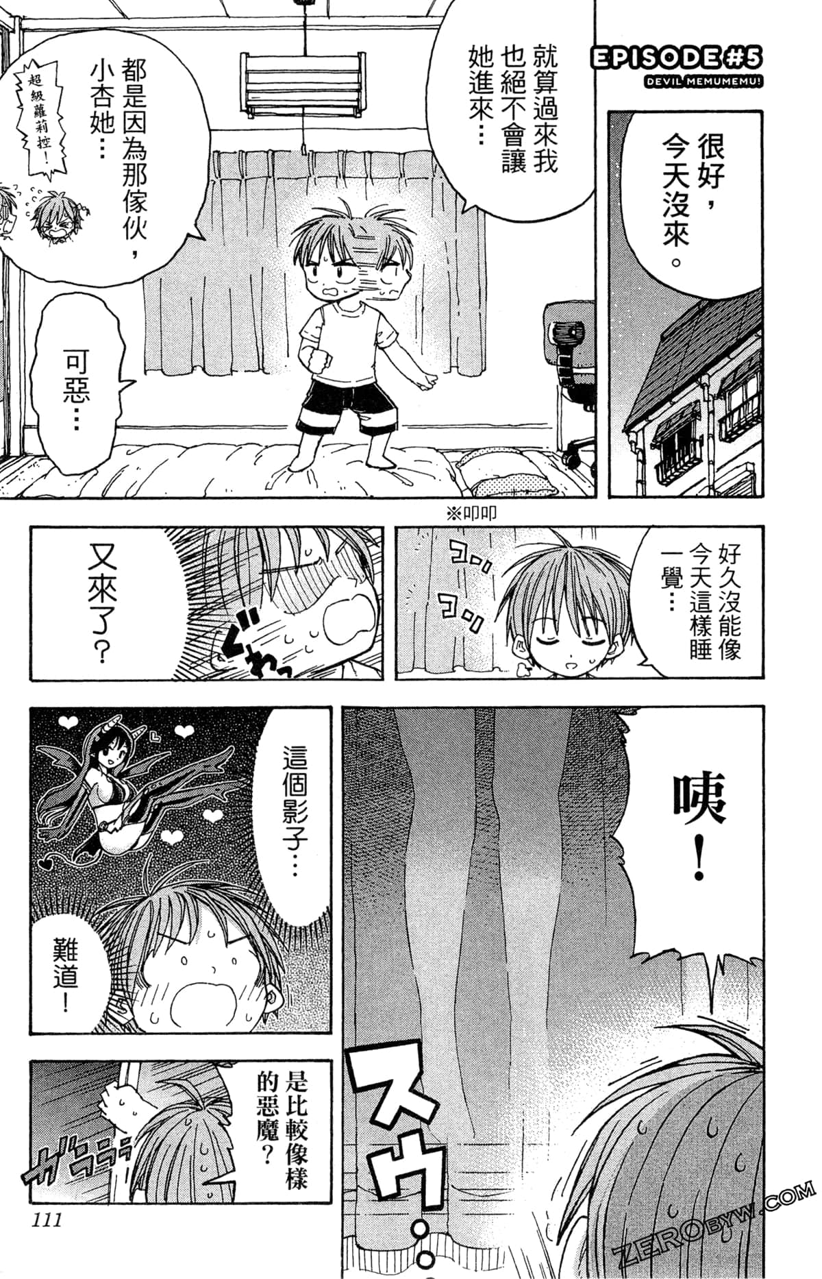 Page 111