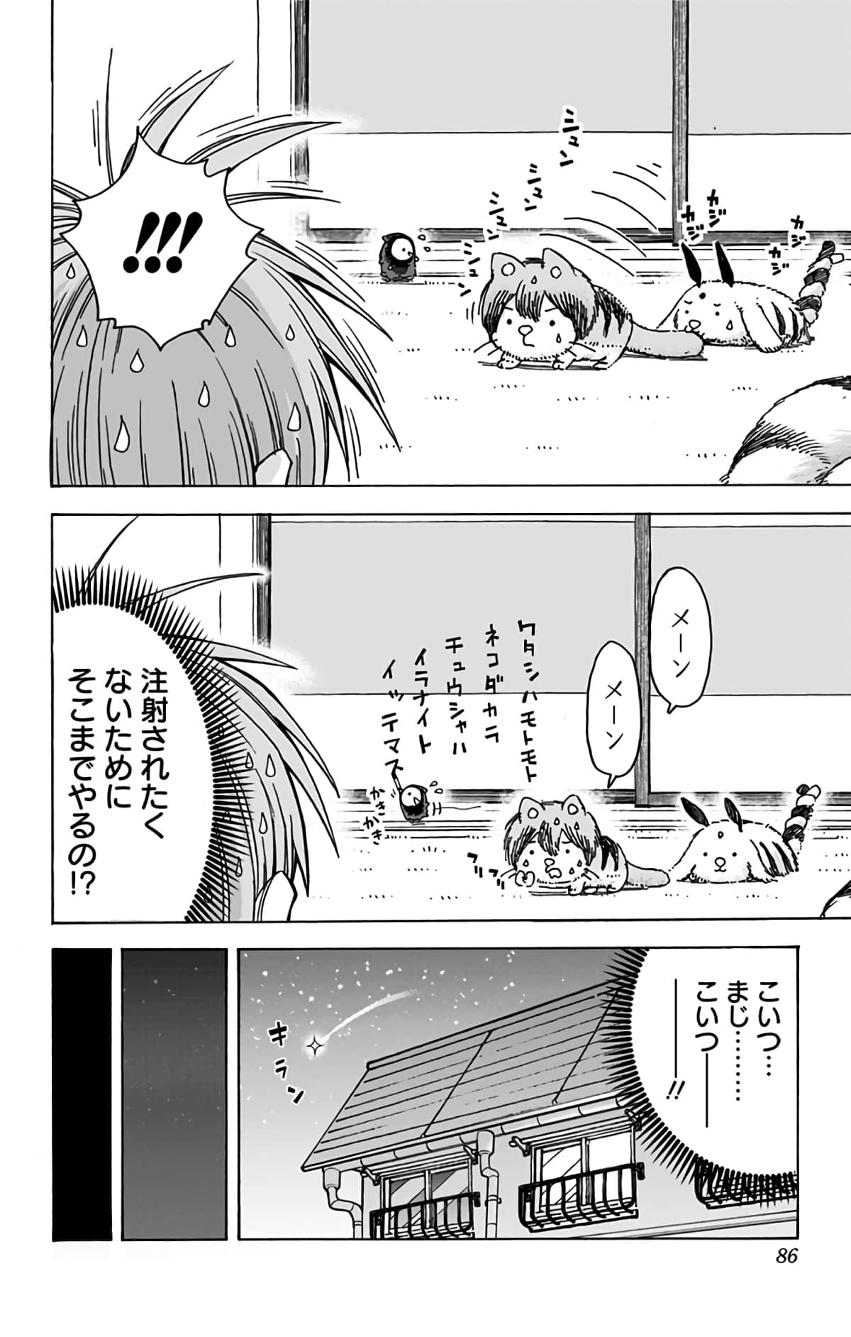 第 85 页