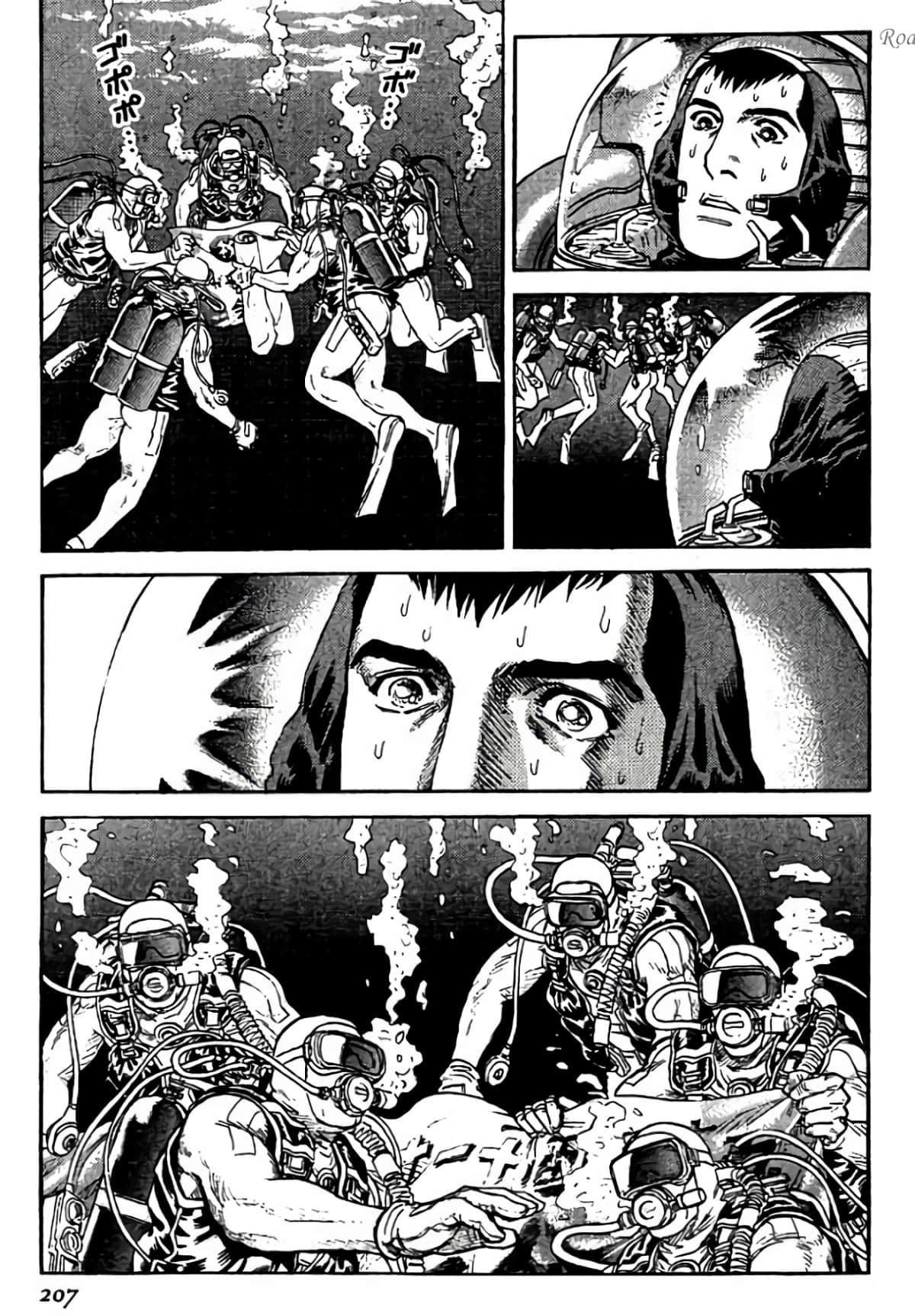 Page 207