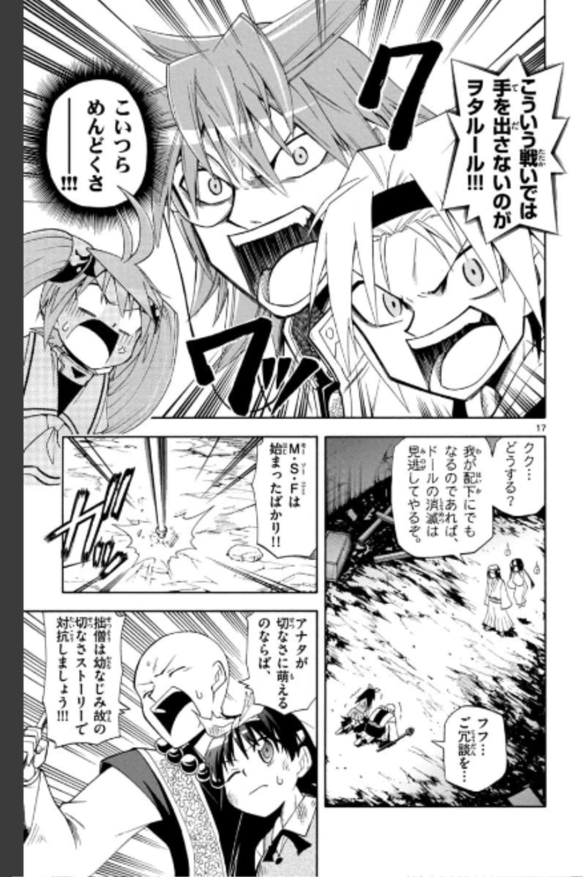 Page 17