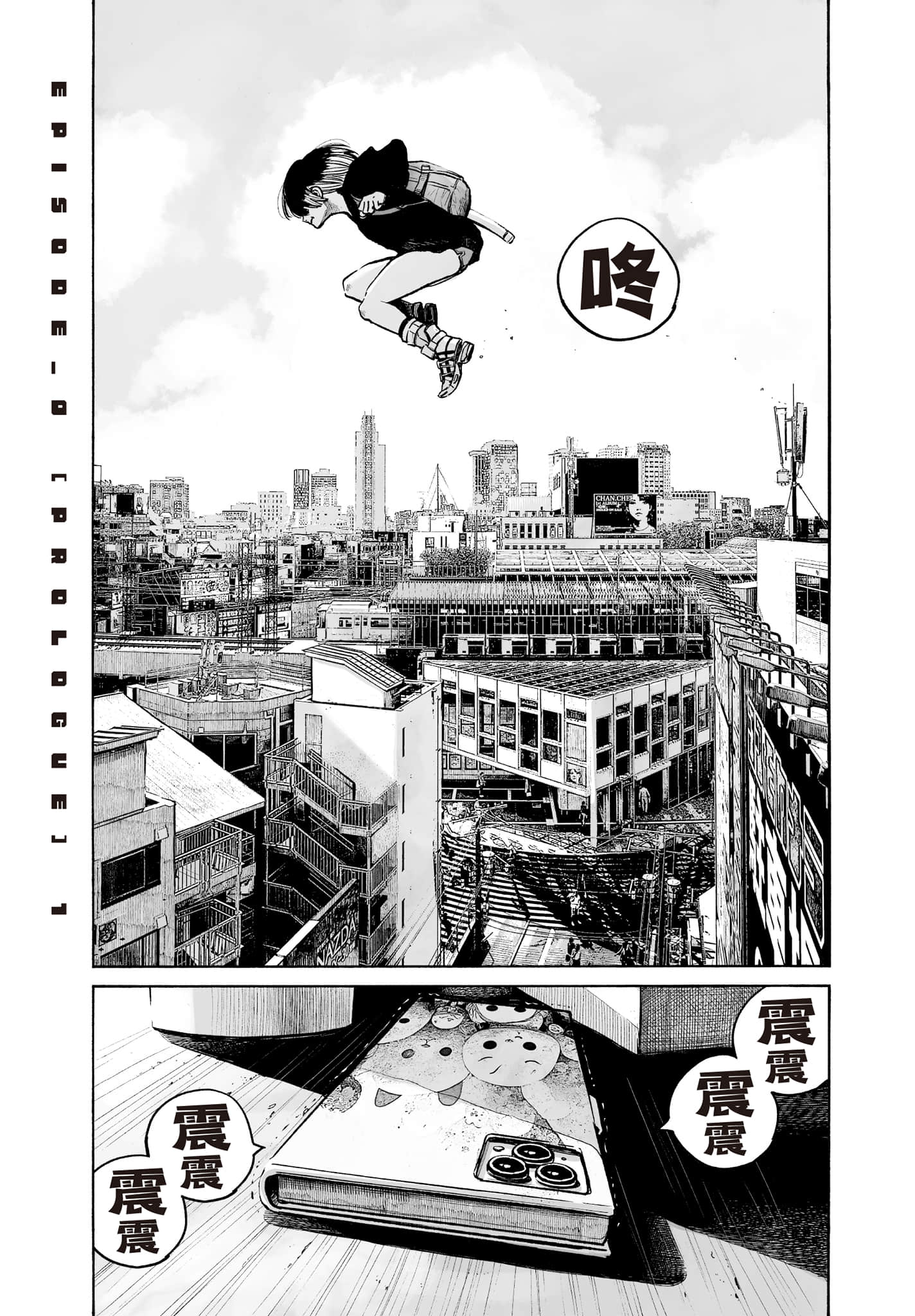 第 10 页