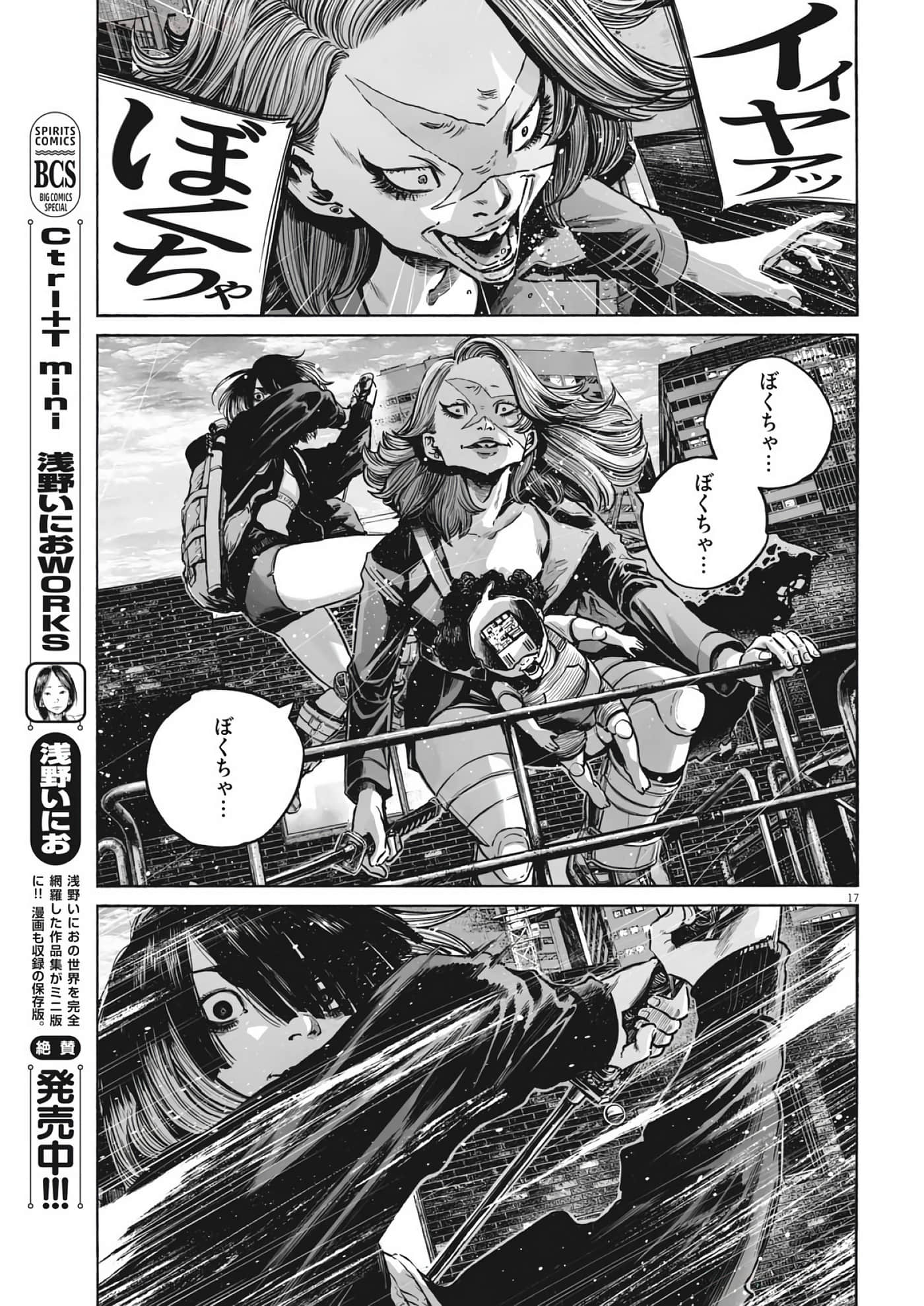 第 17 页