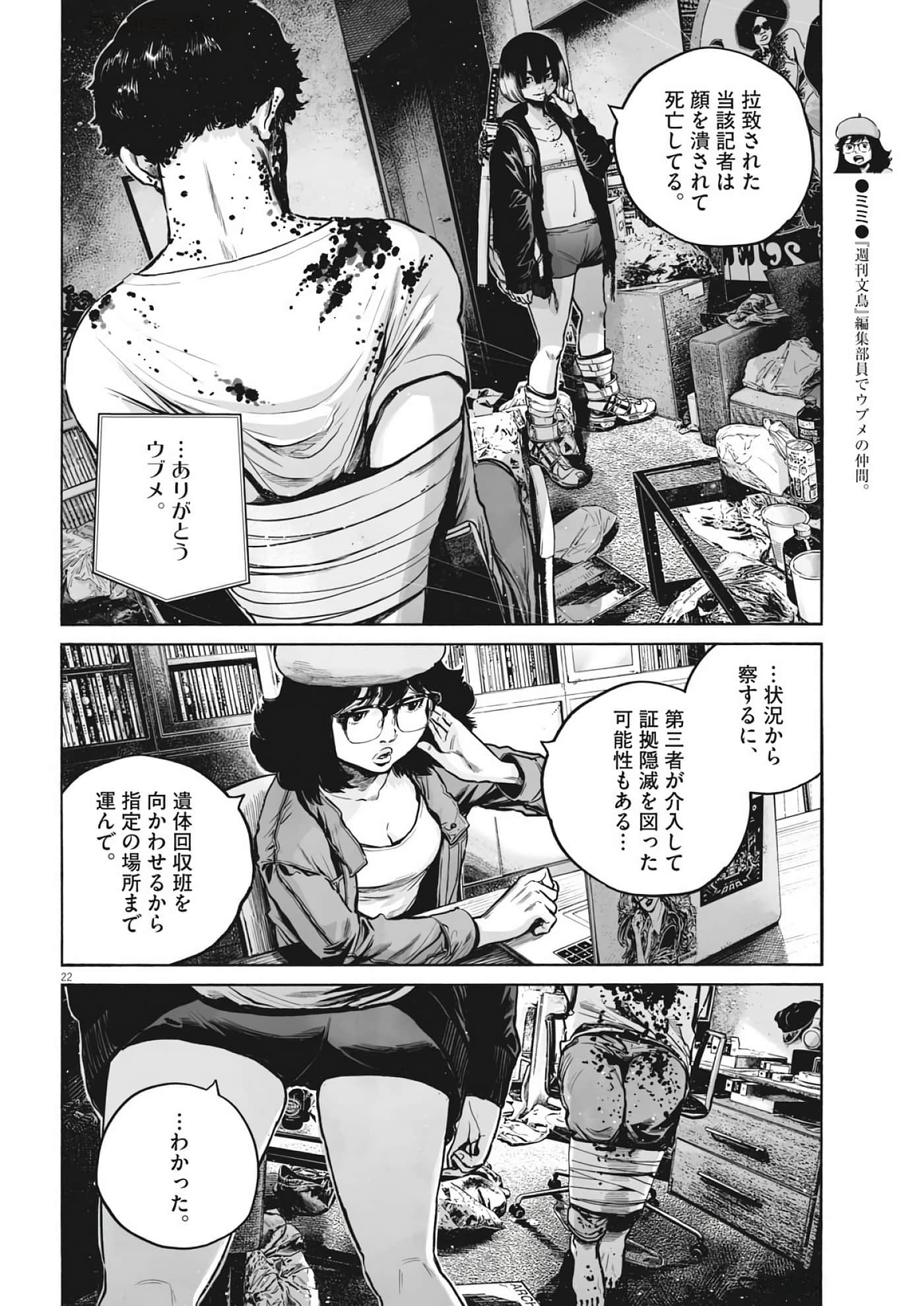 第 22 页