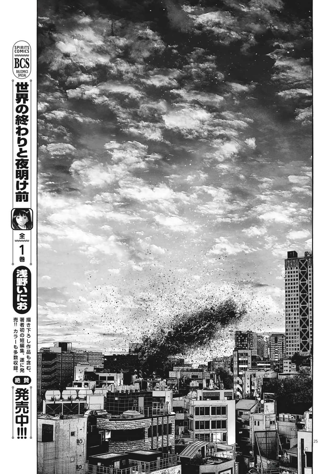 第 25 页
