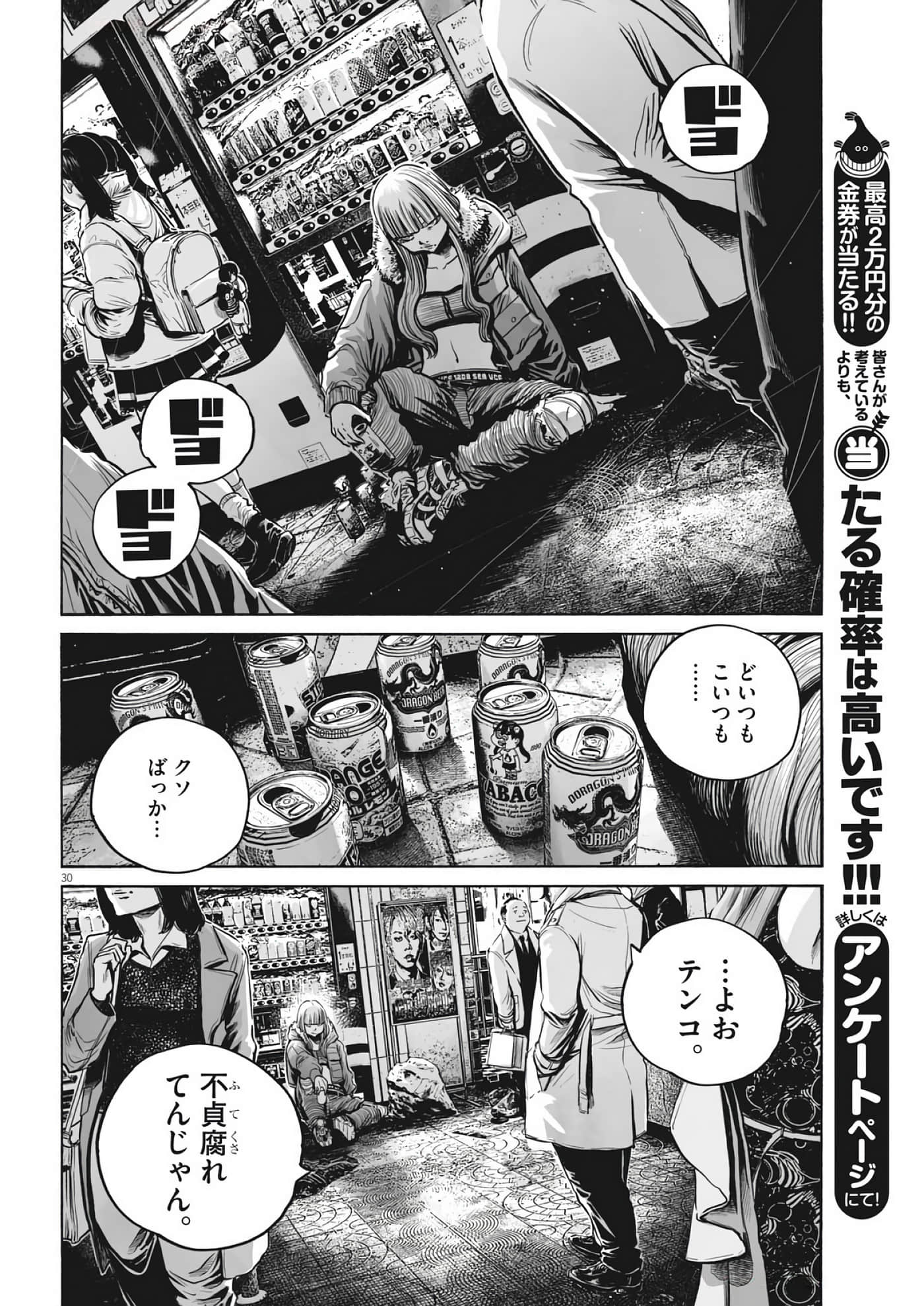 第 30 页