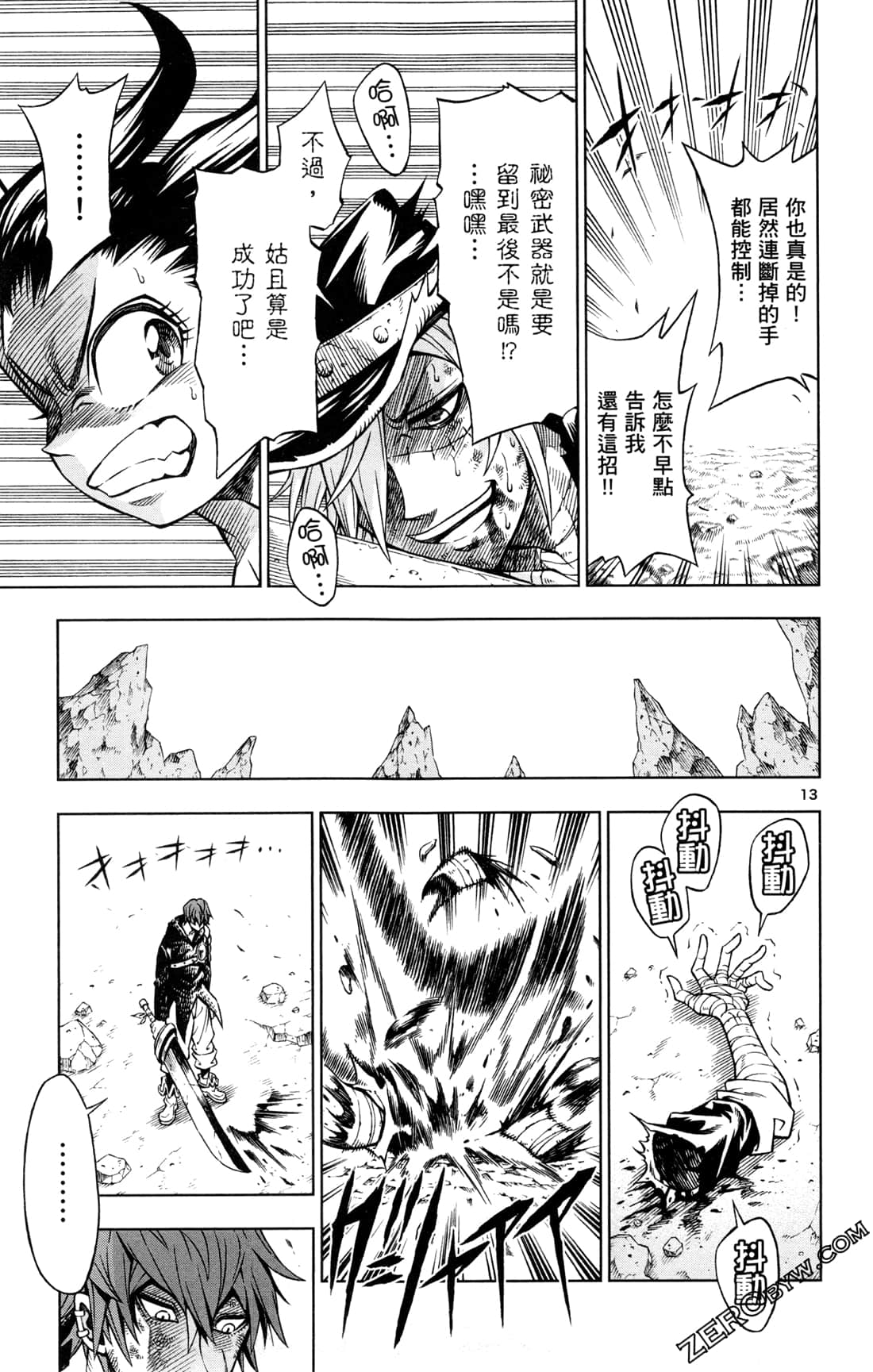 Page 113