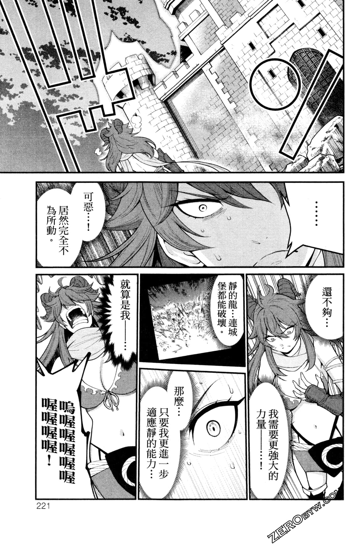 第 221 页