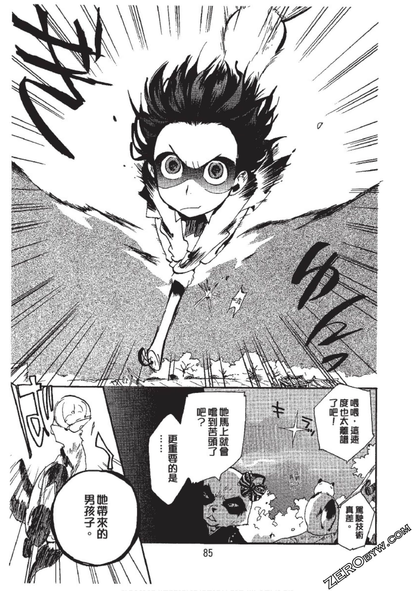 Page 85