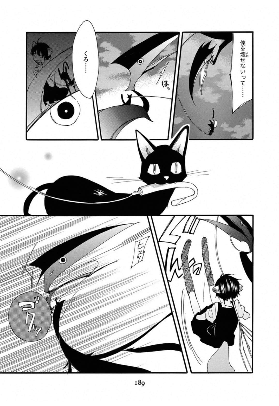 Page 191