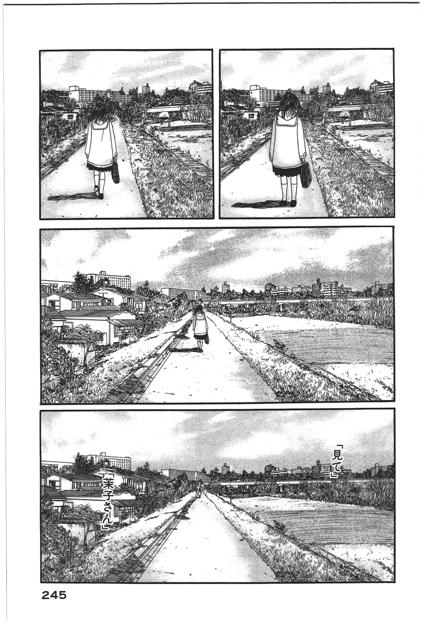 Page 247