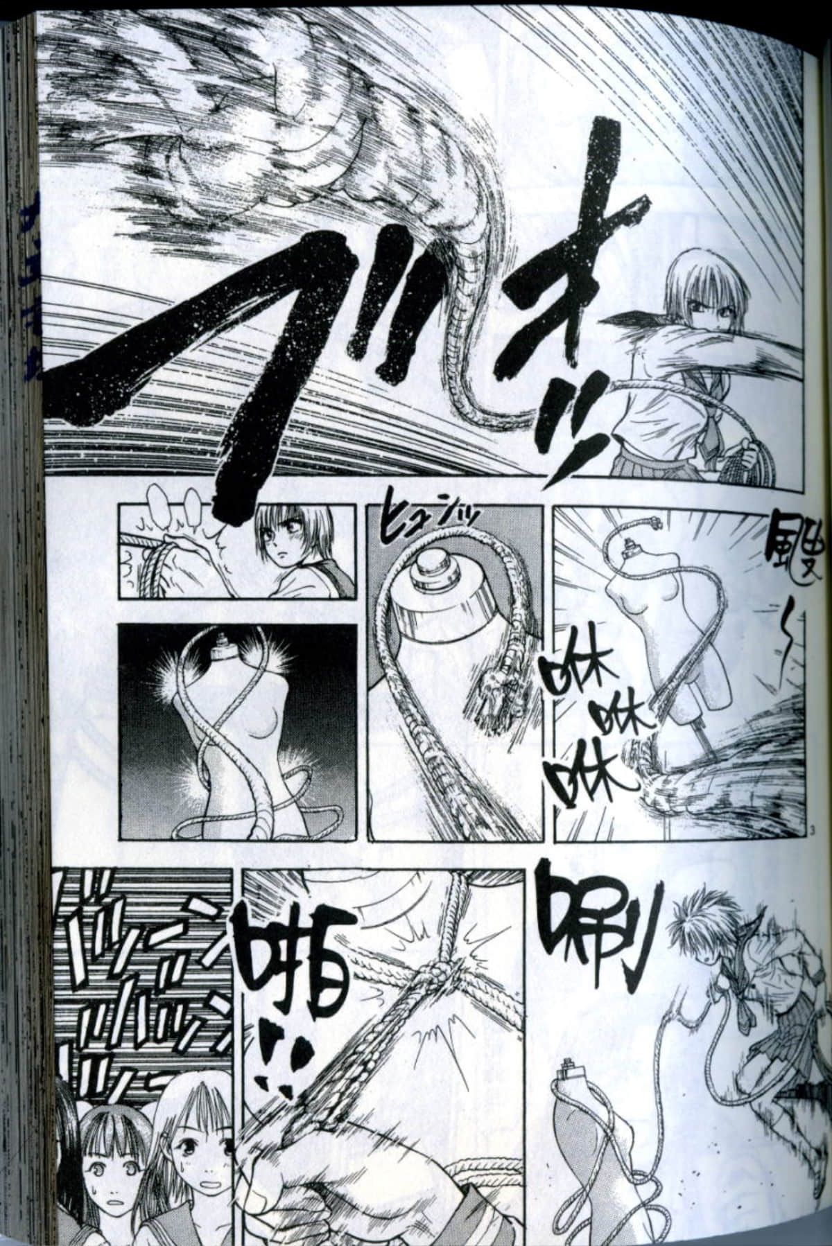Page 101