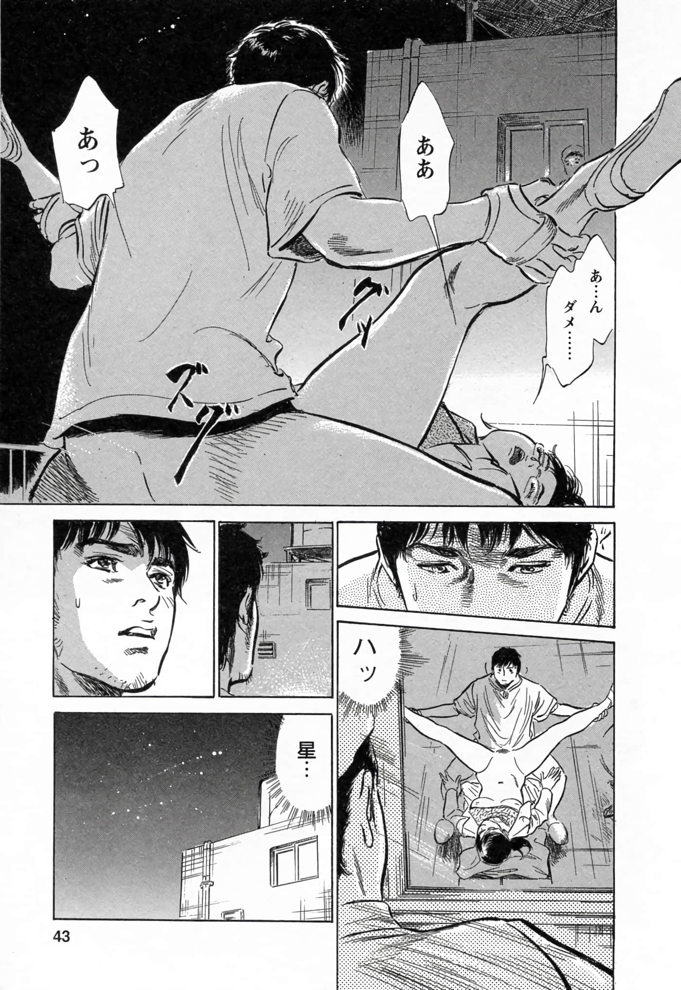第 43 页