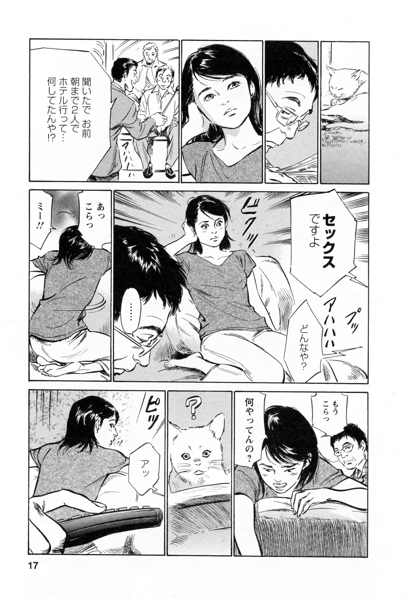 第 17 页