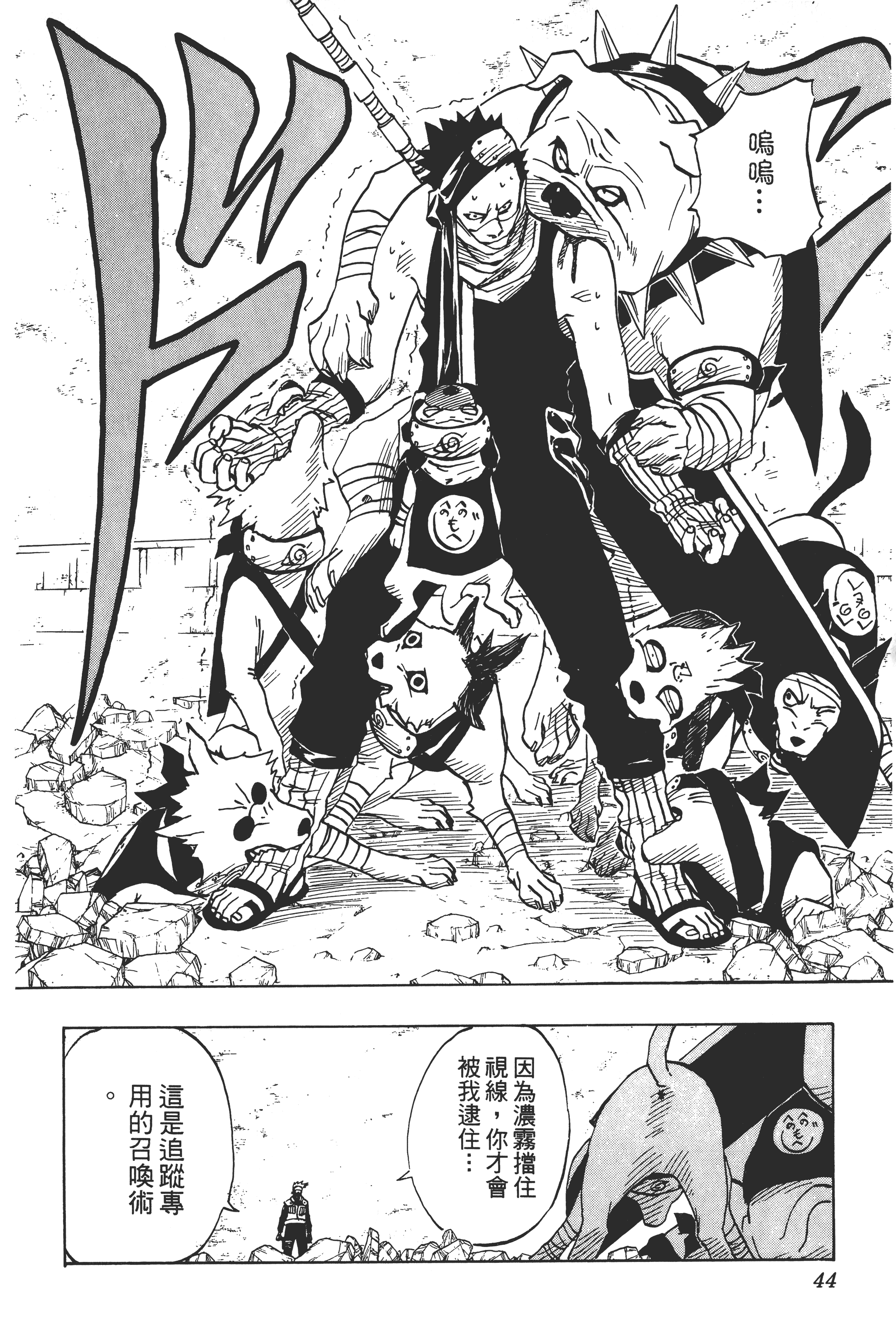 Page 43