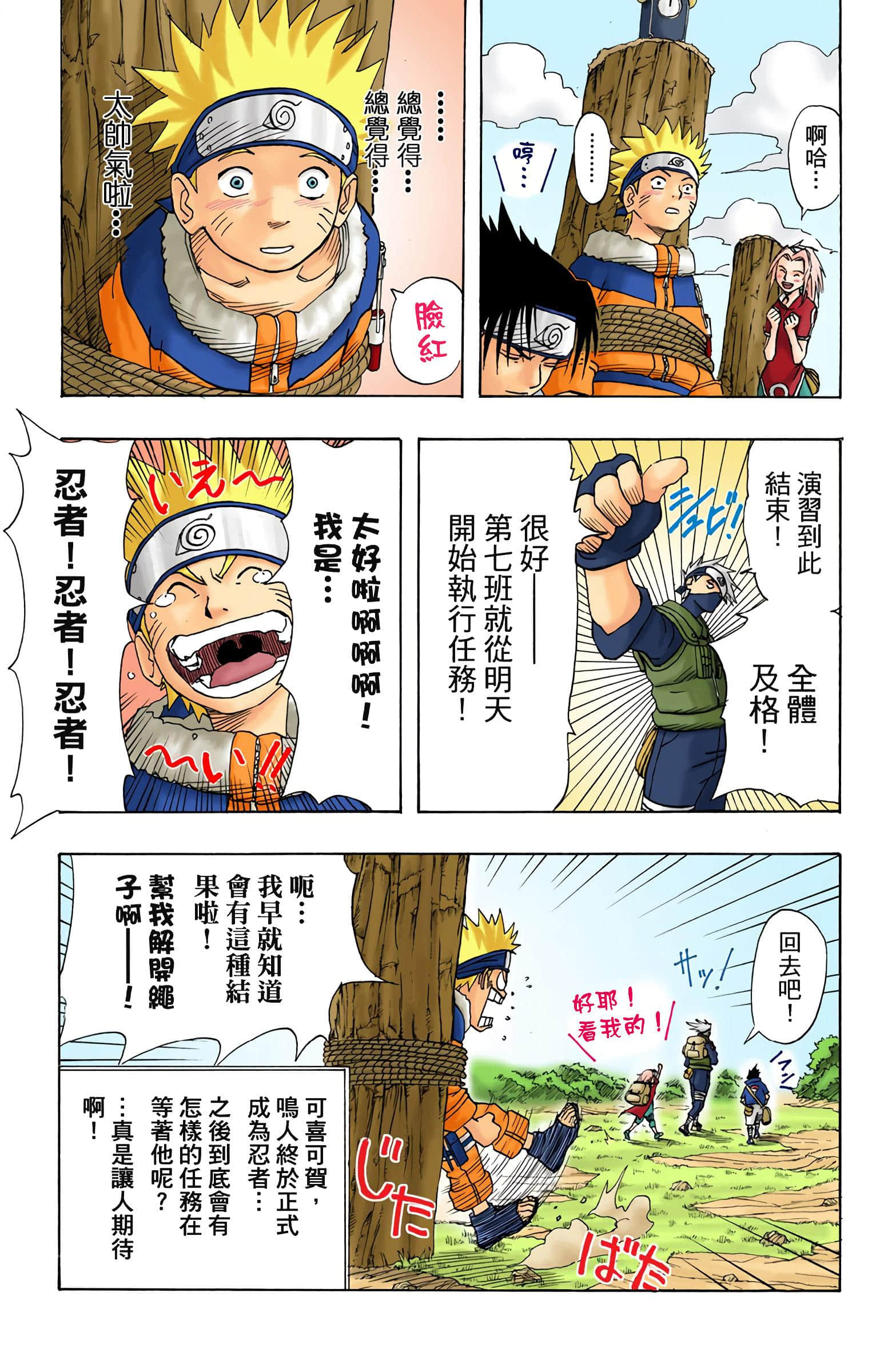 Page 207